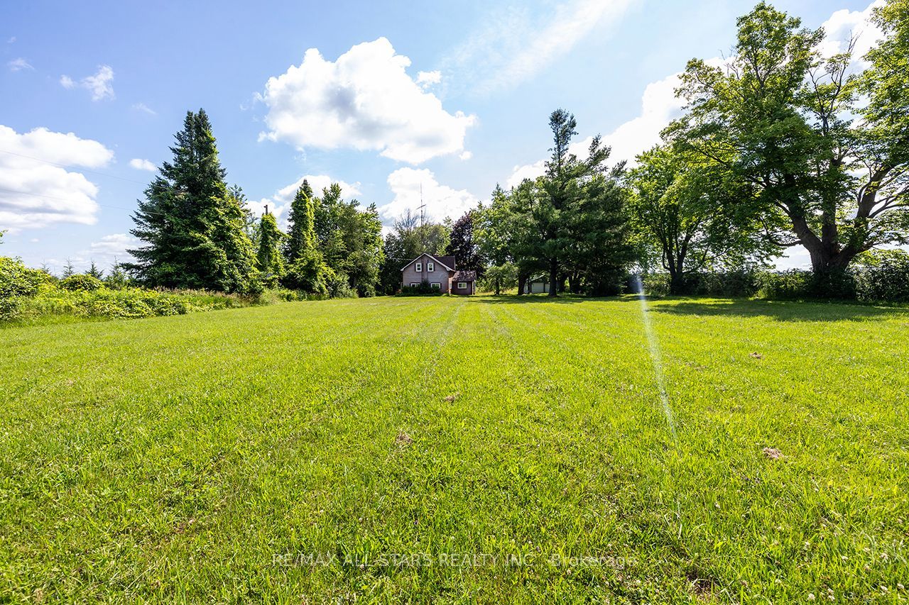 16865 Ridge Road Property Photo 6