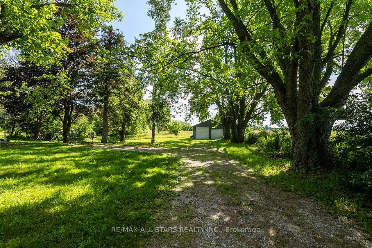 16865 Ridge Road Property Photo 29