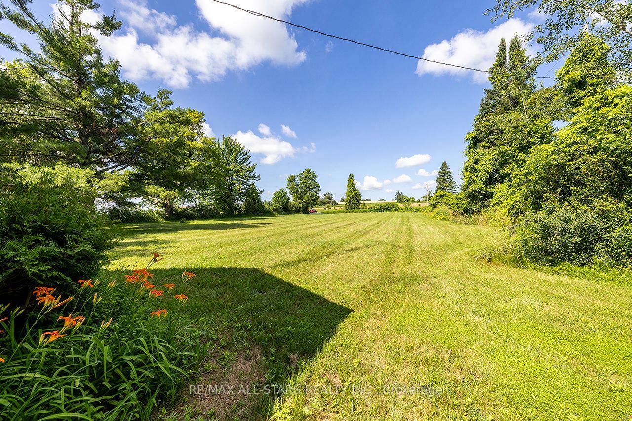 16865 Ridge Road Property Photo 32