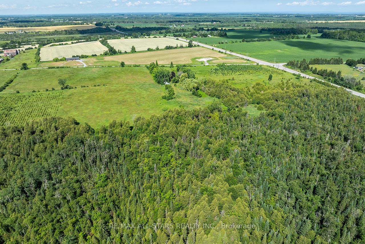 16865 Ridge Road Property Photo 43