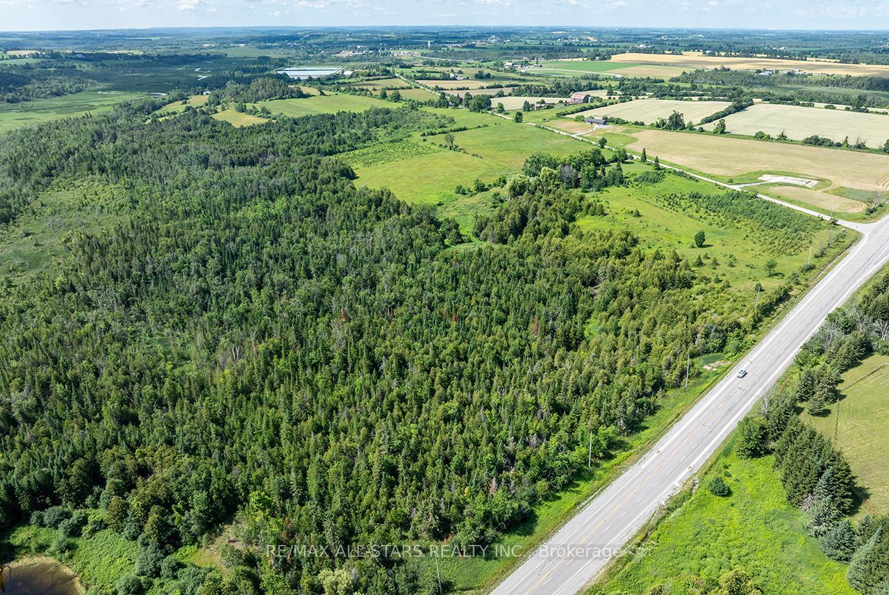 16865 Ridge Road Property Photo 47
