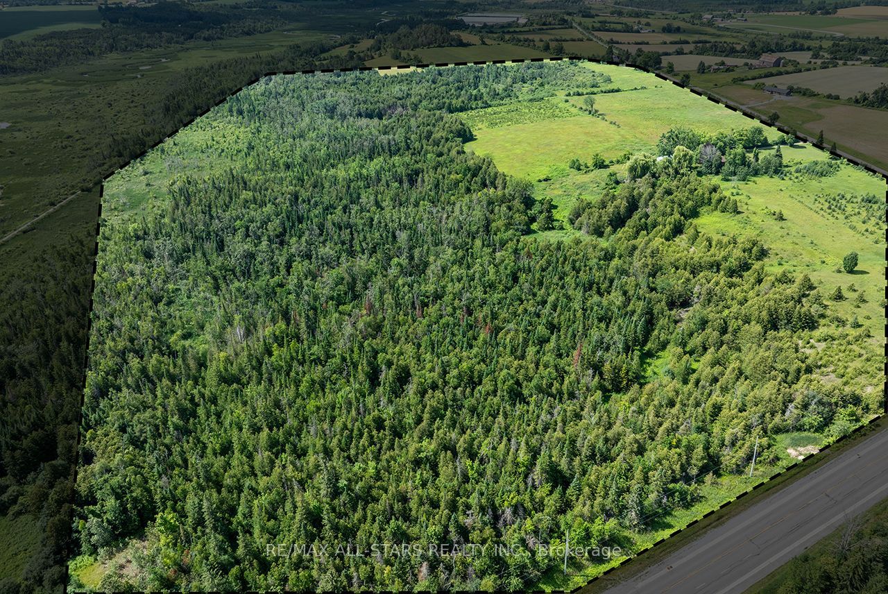 16865 Ridge Road Property Photo 49