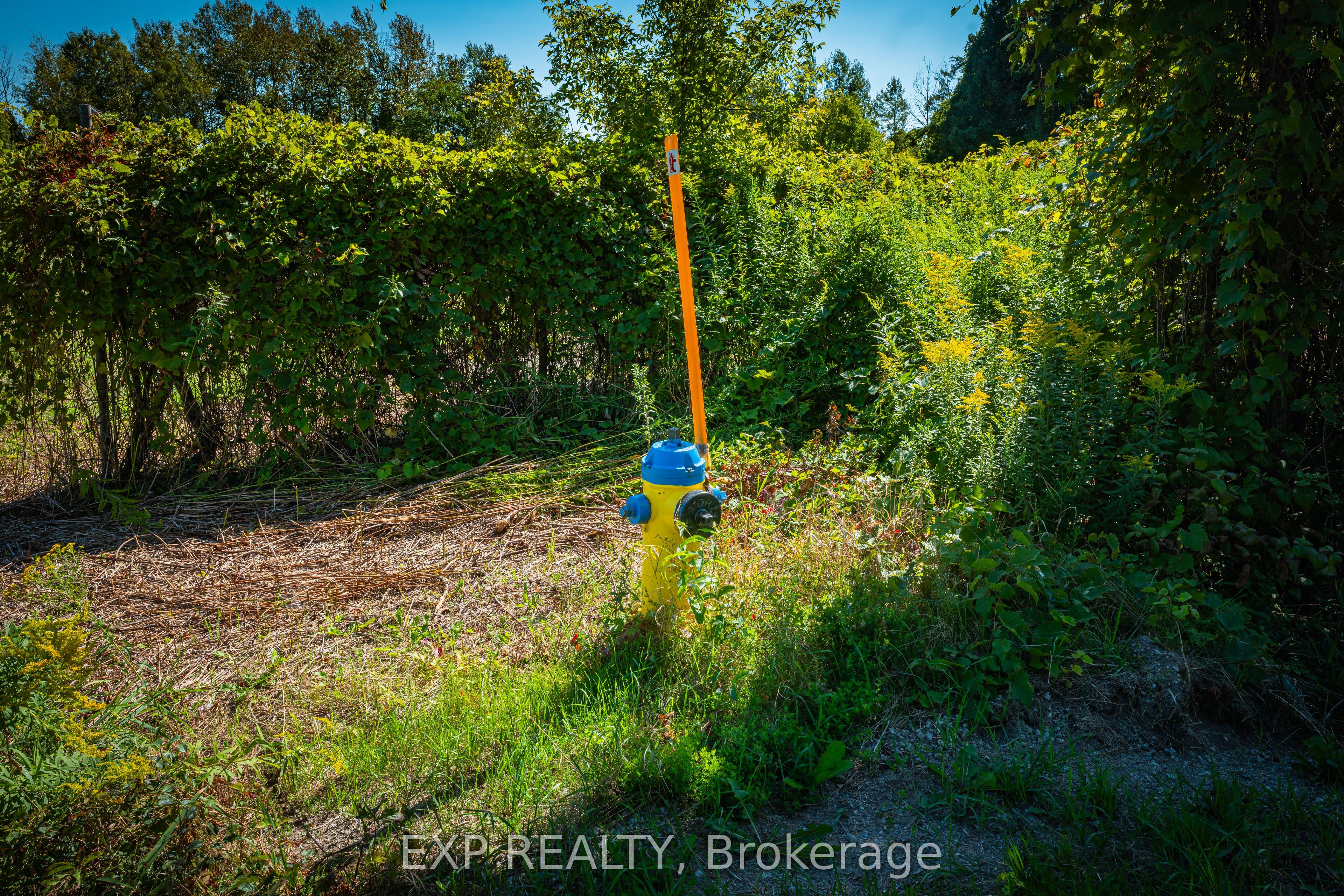 26839 Civic Centre Road Property Photo 8