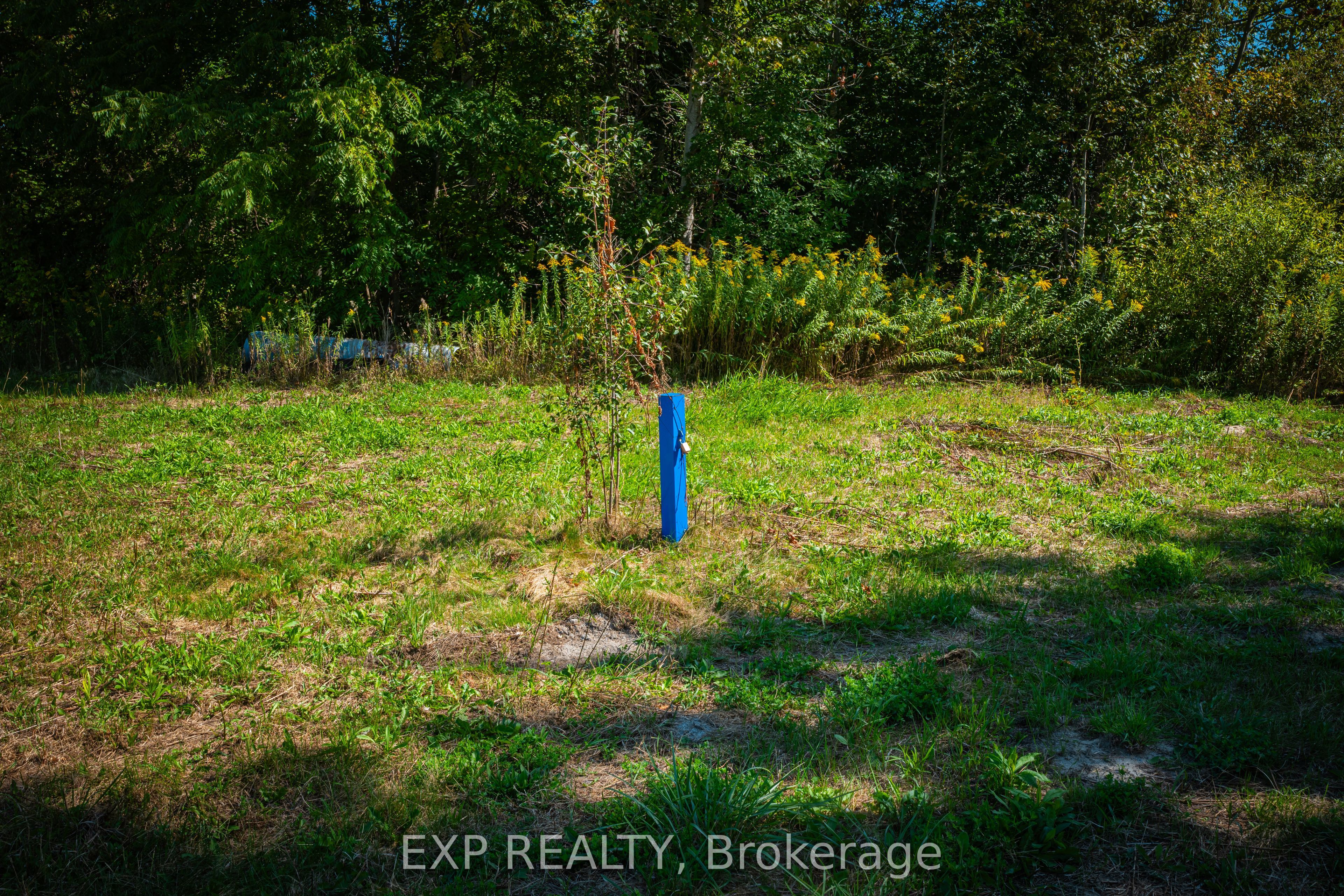 26839 Civic Centre Road Property Photo 21