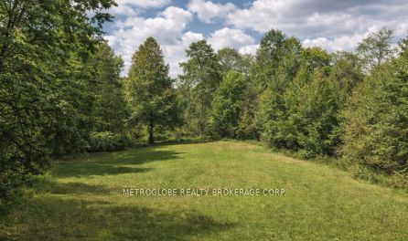 5970 Rutherford Road Property Photo 7