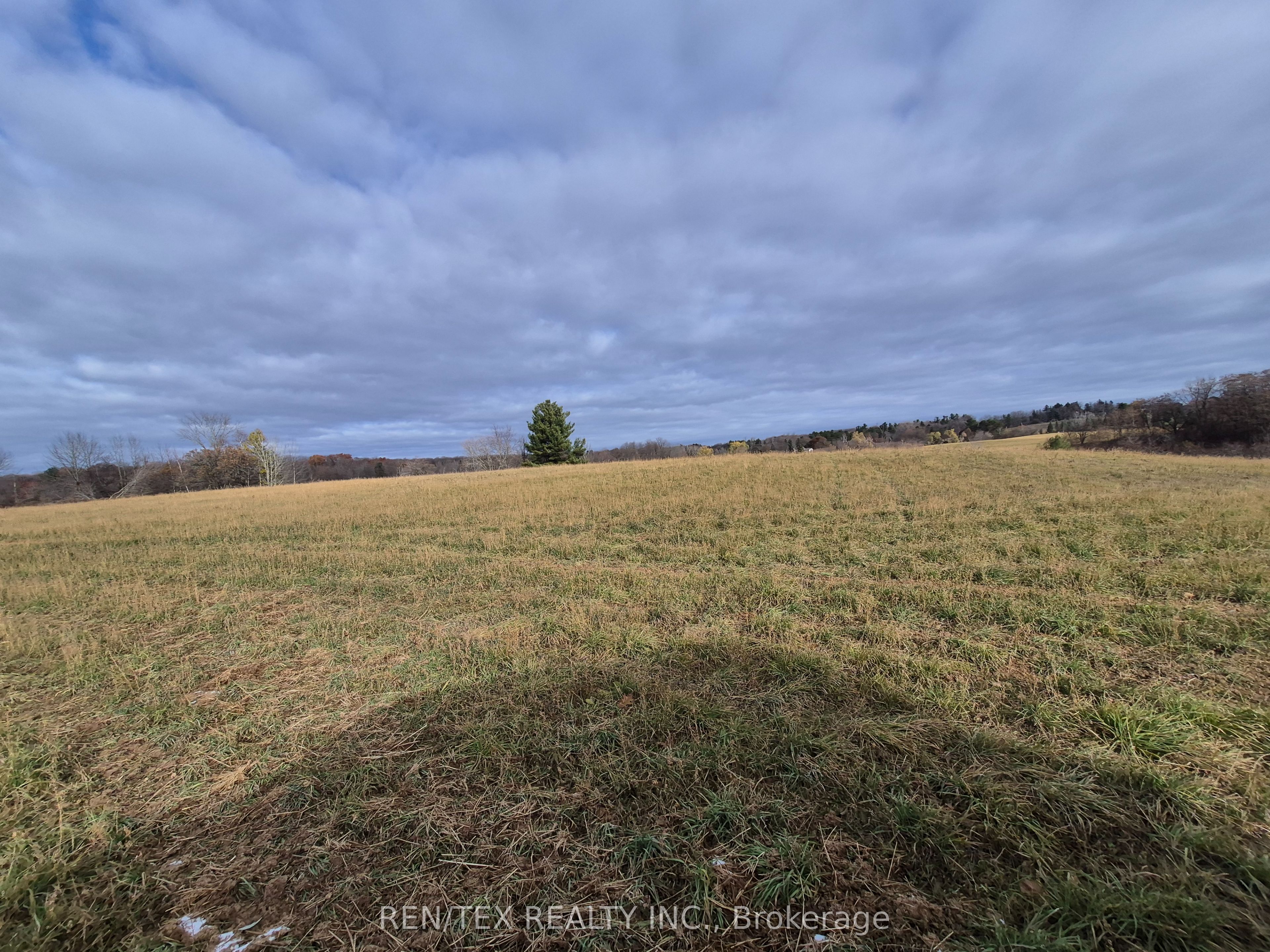 14140 8th Concession Road Property Photo 4