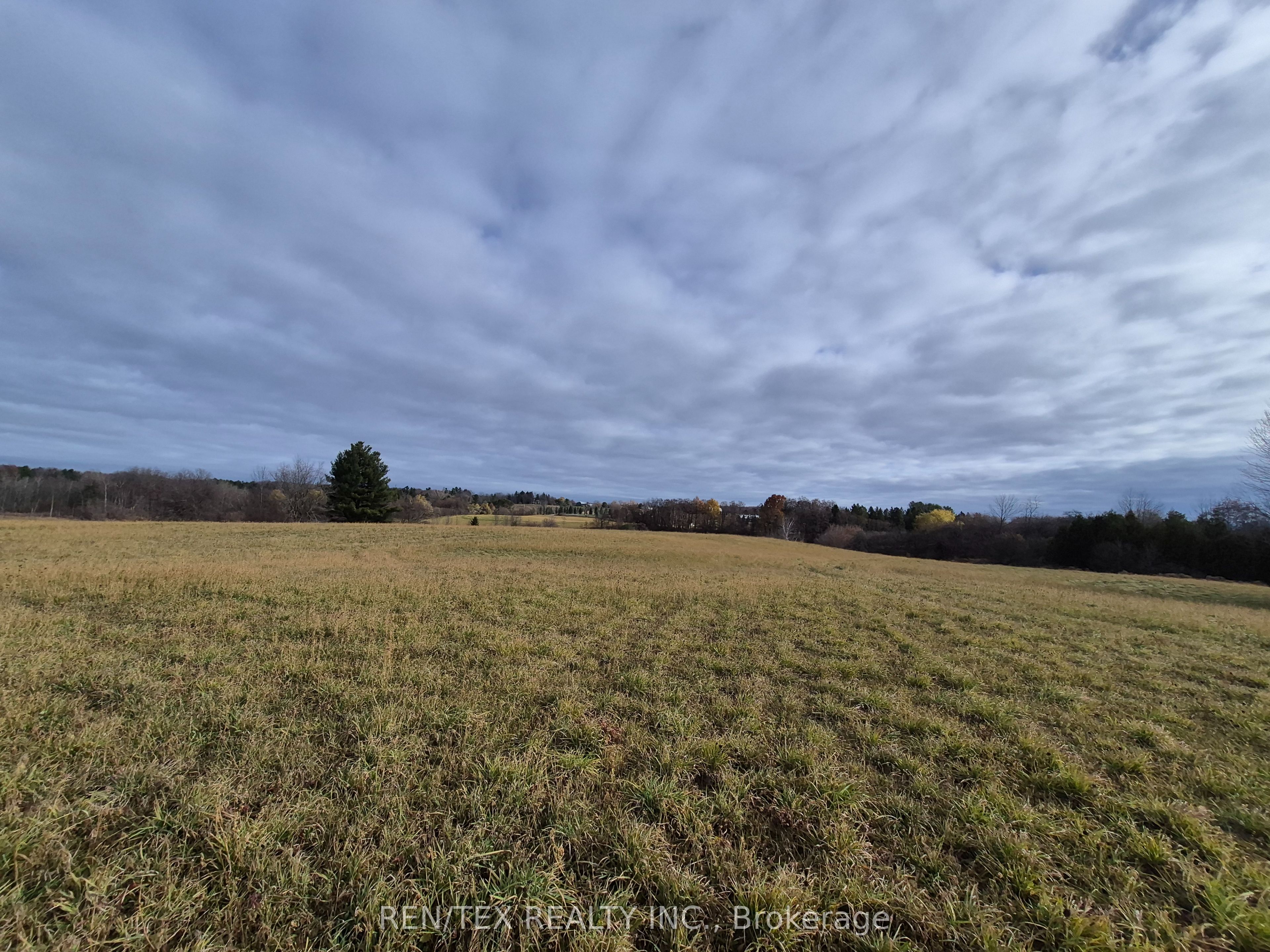 14140 8th Concession Road Property Photo 5
