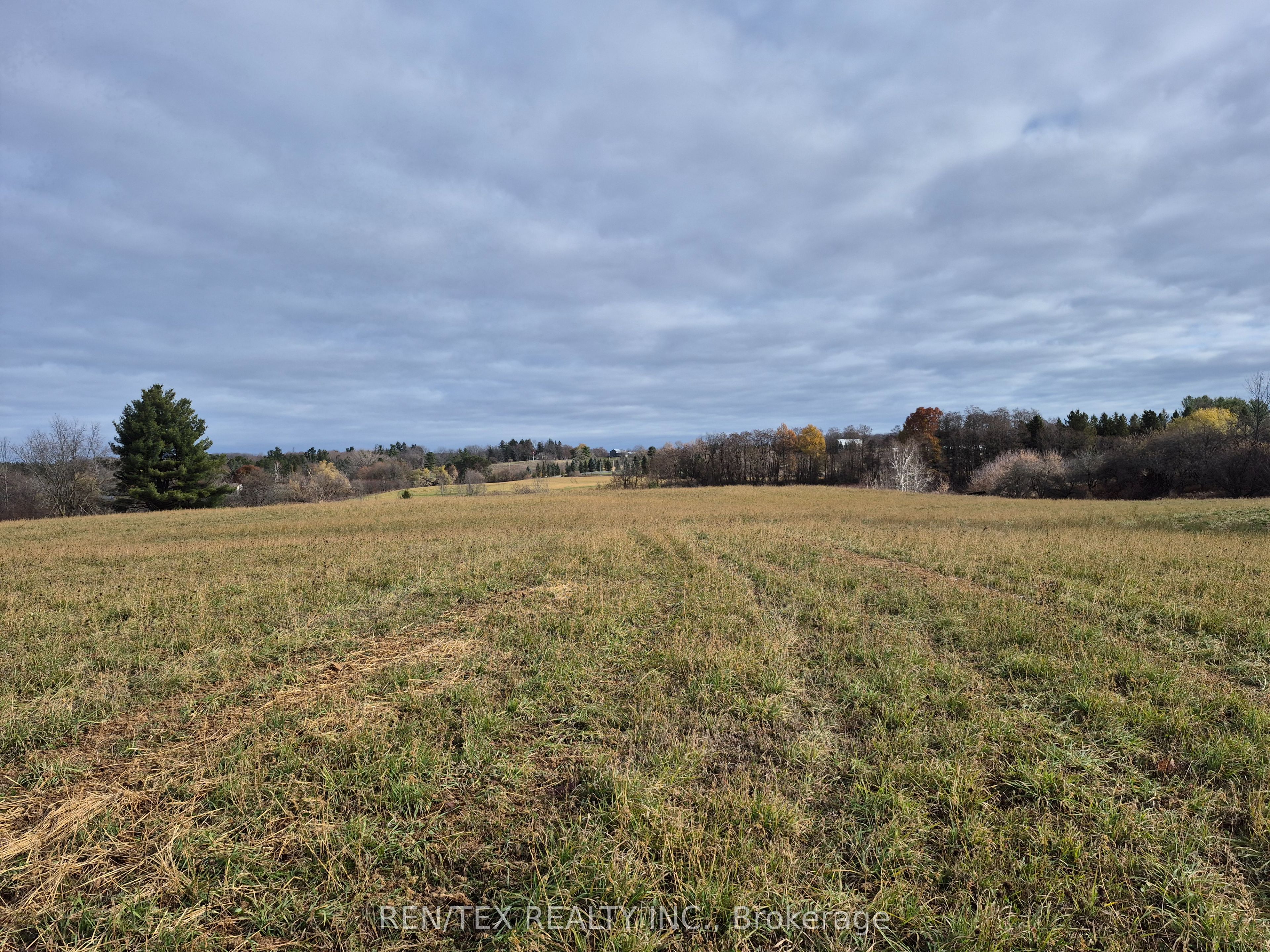 14140 8th Concession Road Property Photo 6
