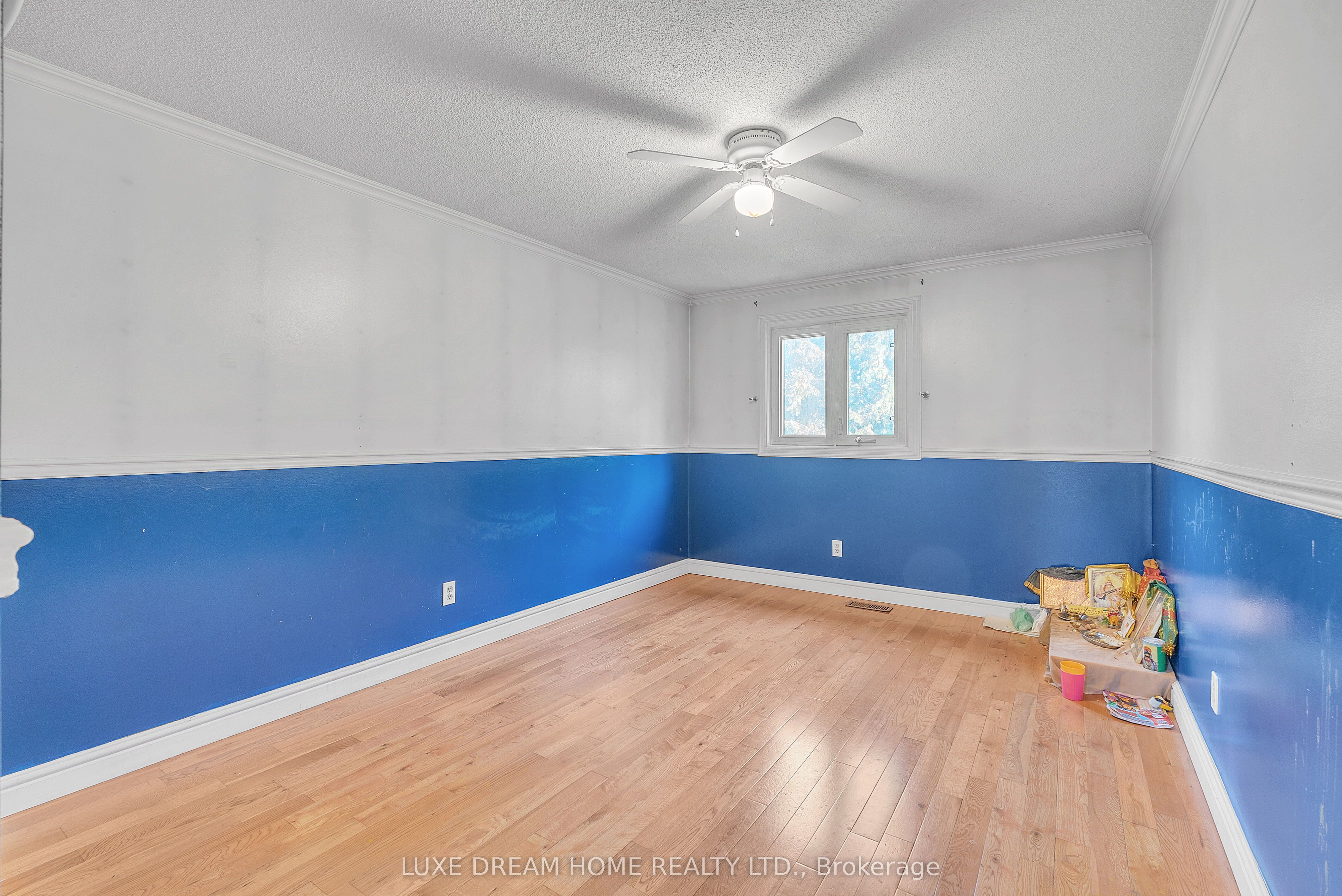 175 Albert Street Property Photo 22
