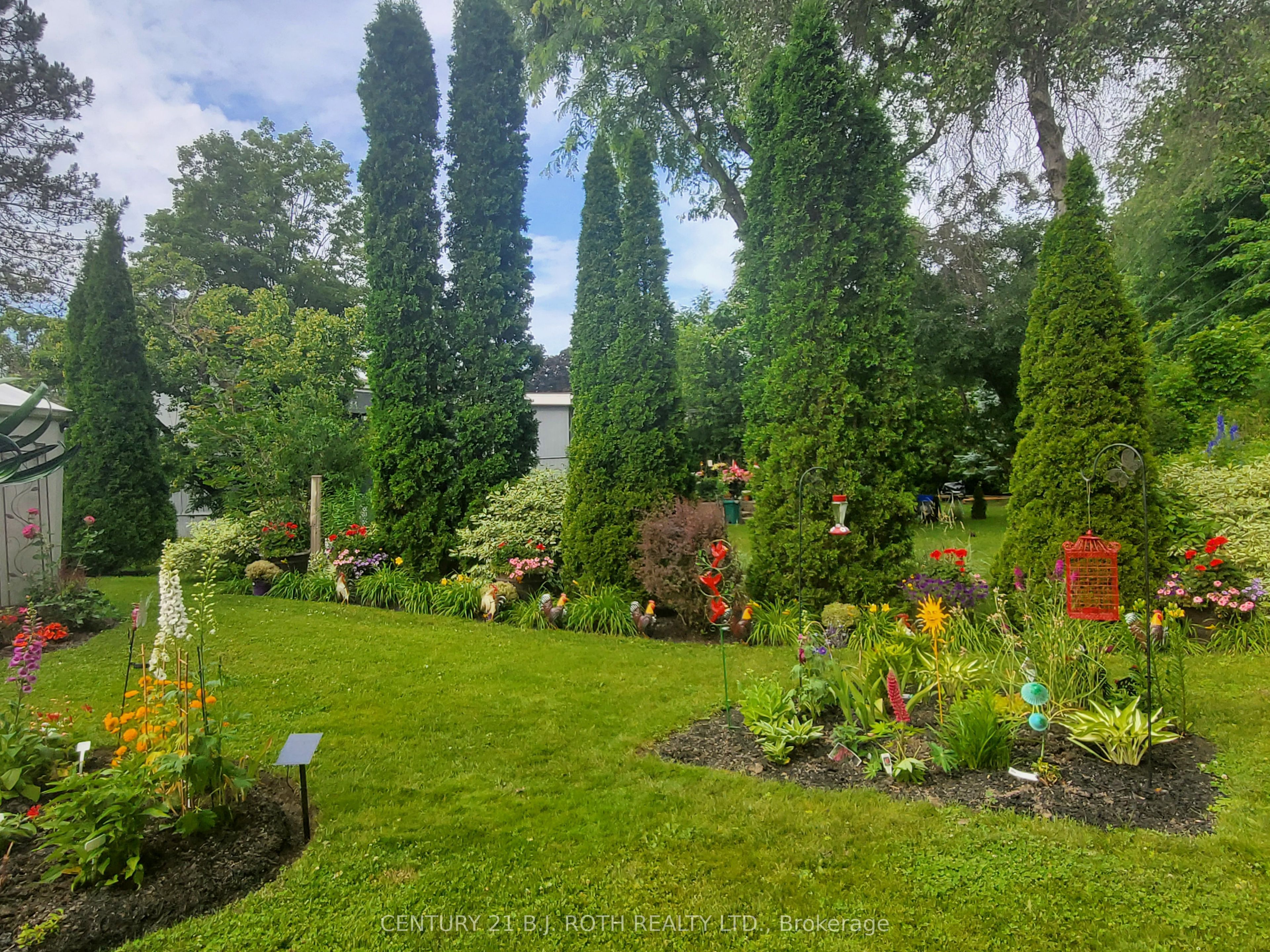 29 Corner Brook Trail Property Photo 19