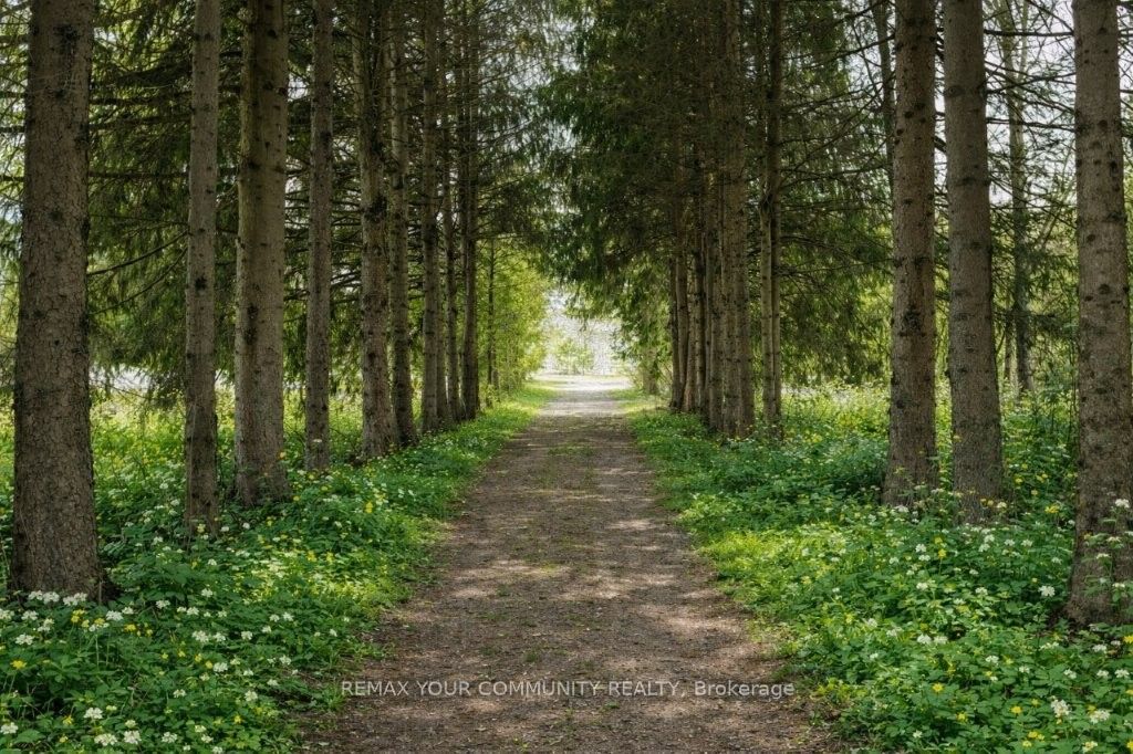 22772 Weirs Side Road Property Photo 2