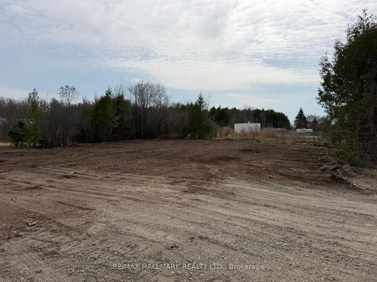 4431 Baseline Road W Property Photo 3