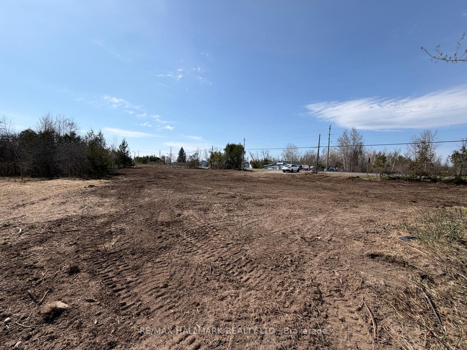 4431 Baseline Road W Property Photo 5