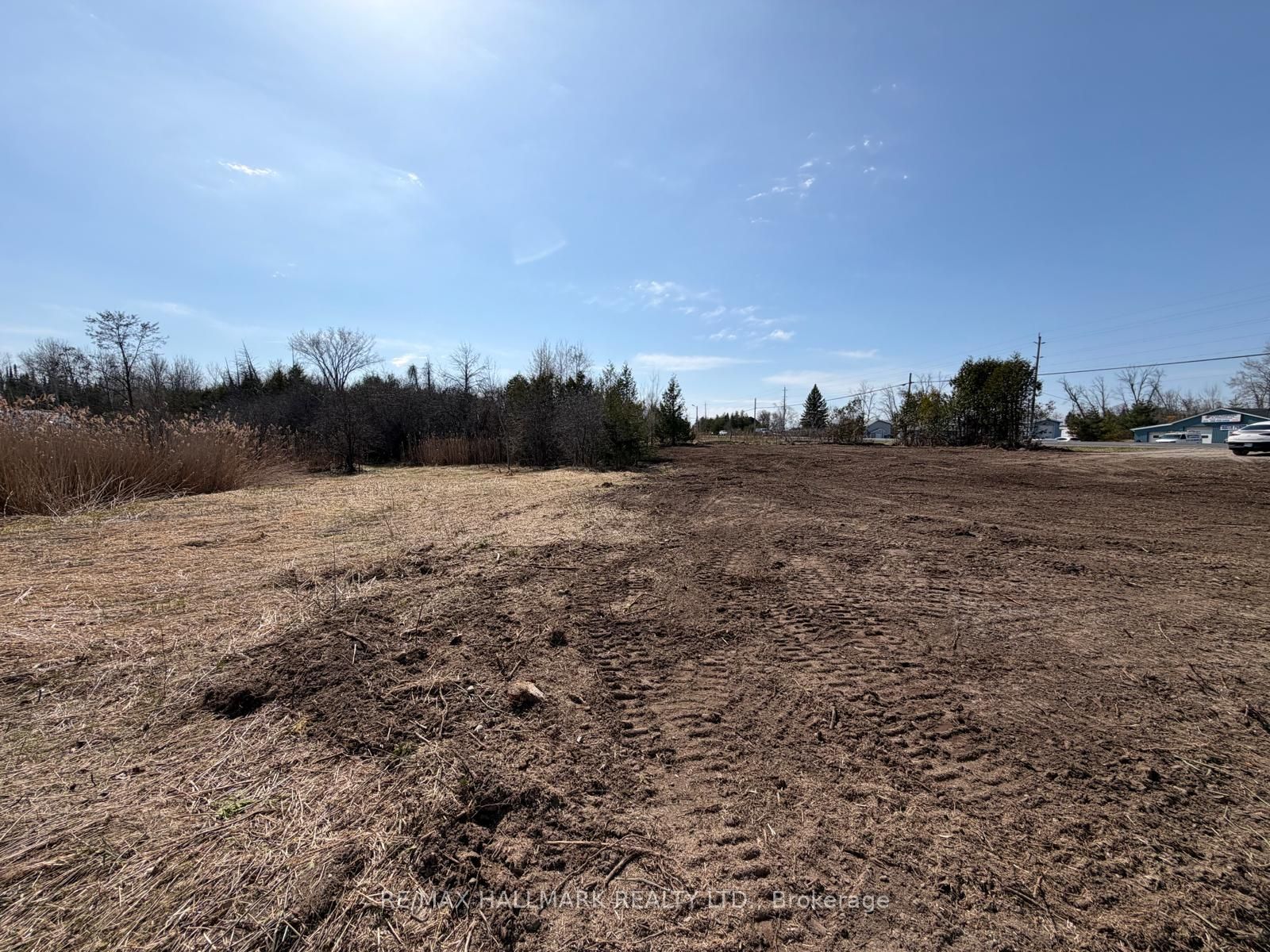 4431 Baseline Road W Property Photo 6