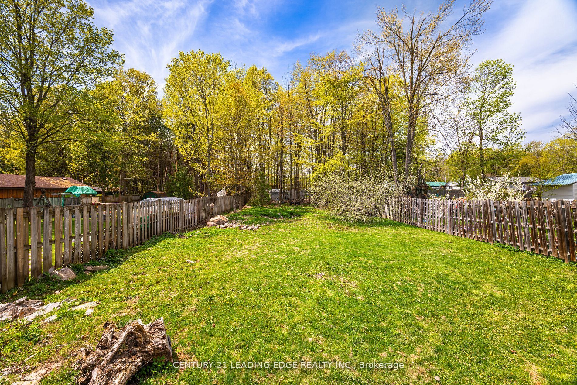 2678 25th Side Road Property Photo 21