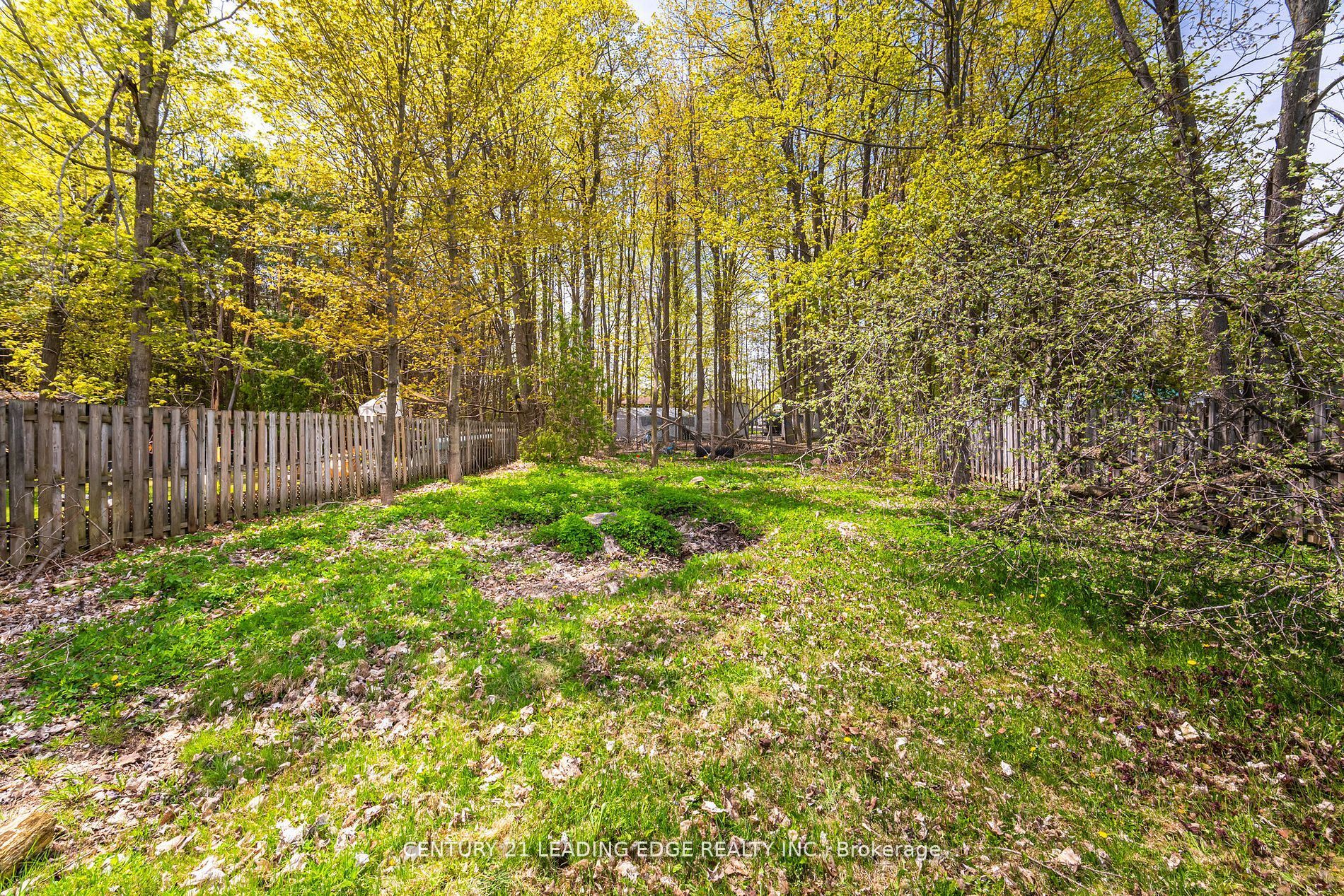 2678 25th Side Road Property Photo 25