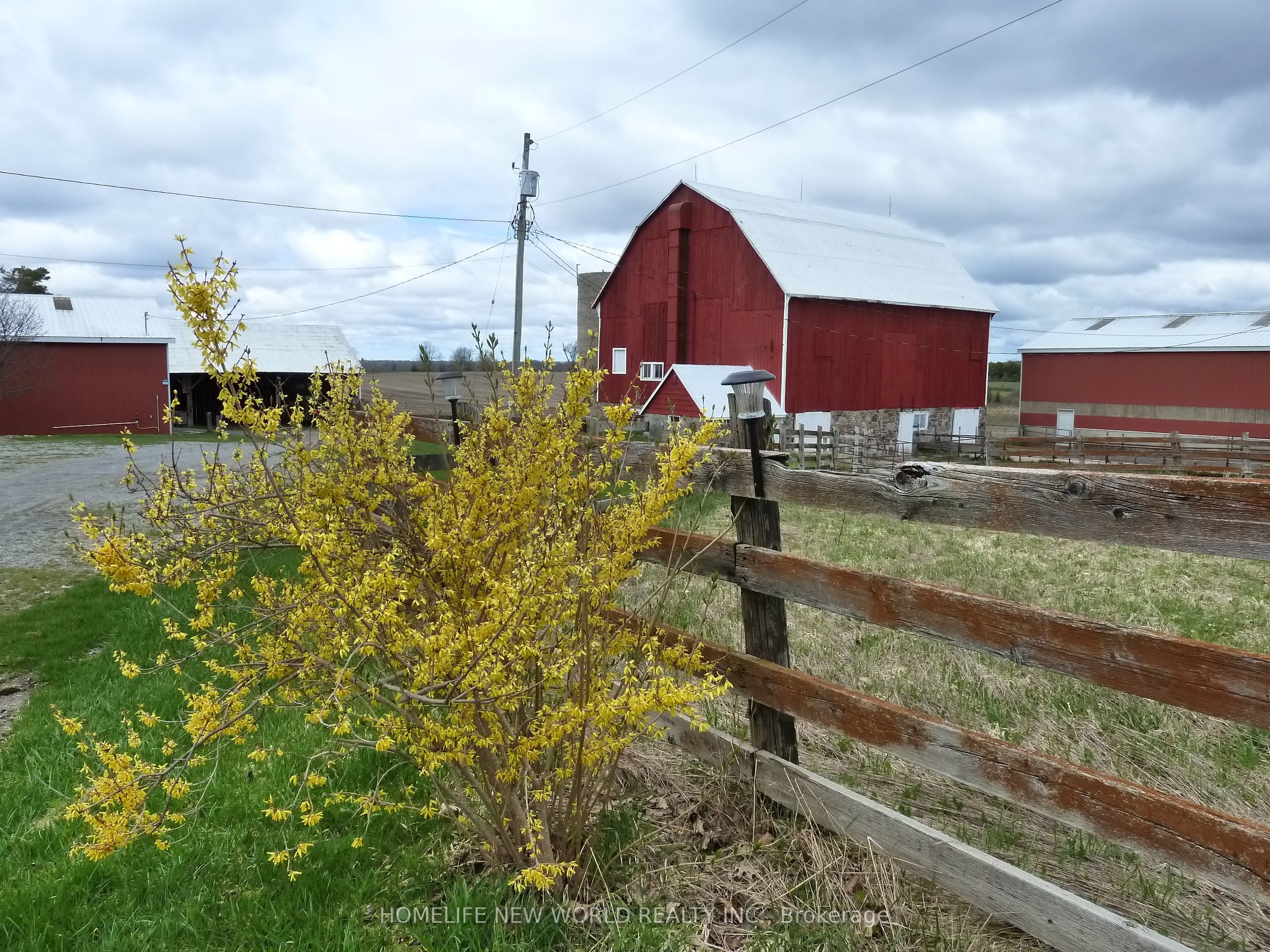 23702 Kennedy Road Property Photo 2