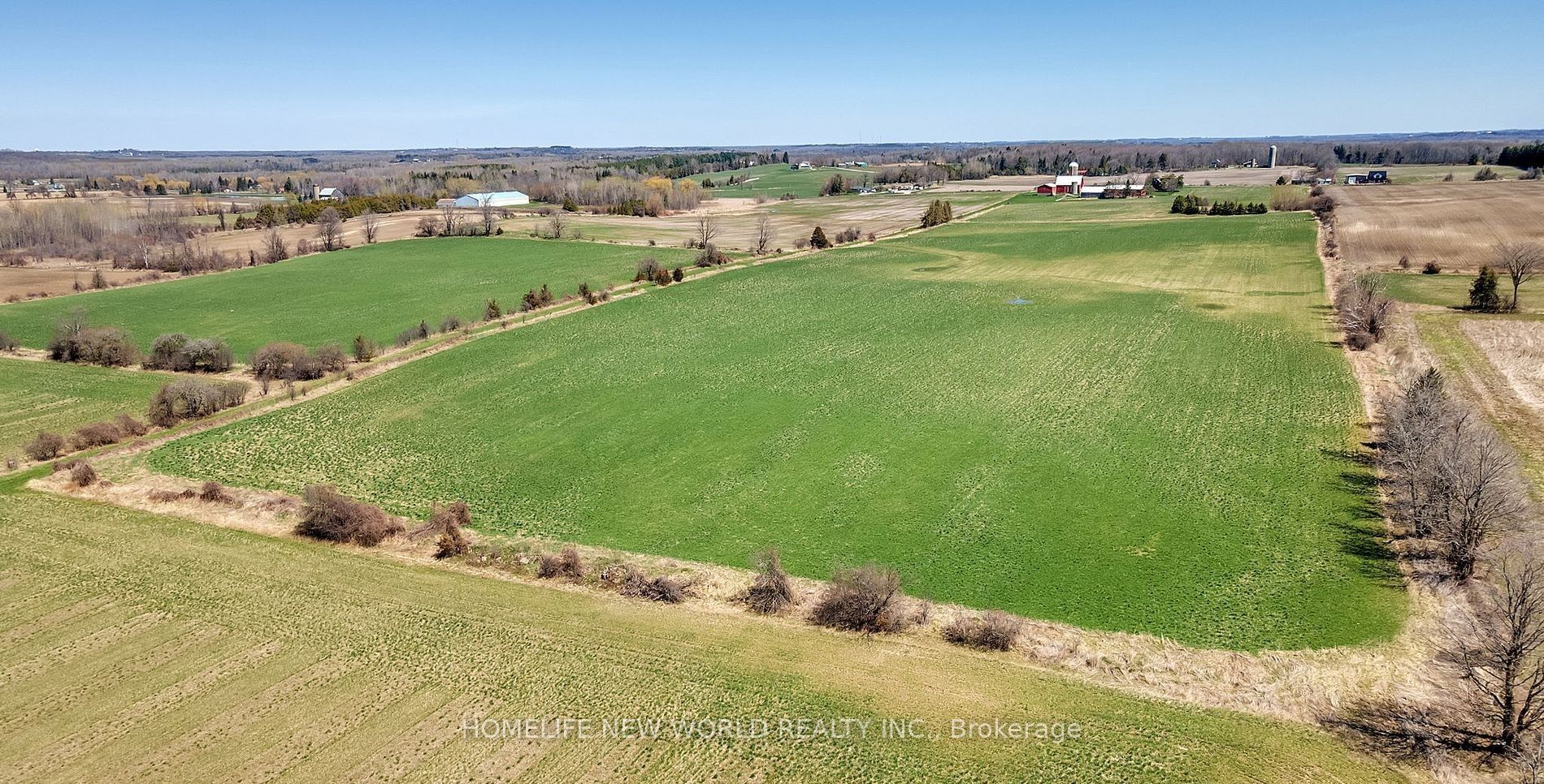 23702 Kennedy Road Property Photo 8