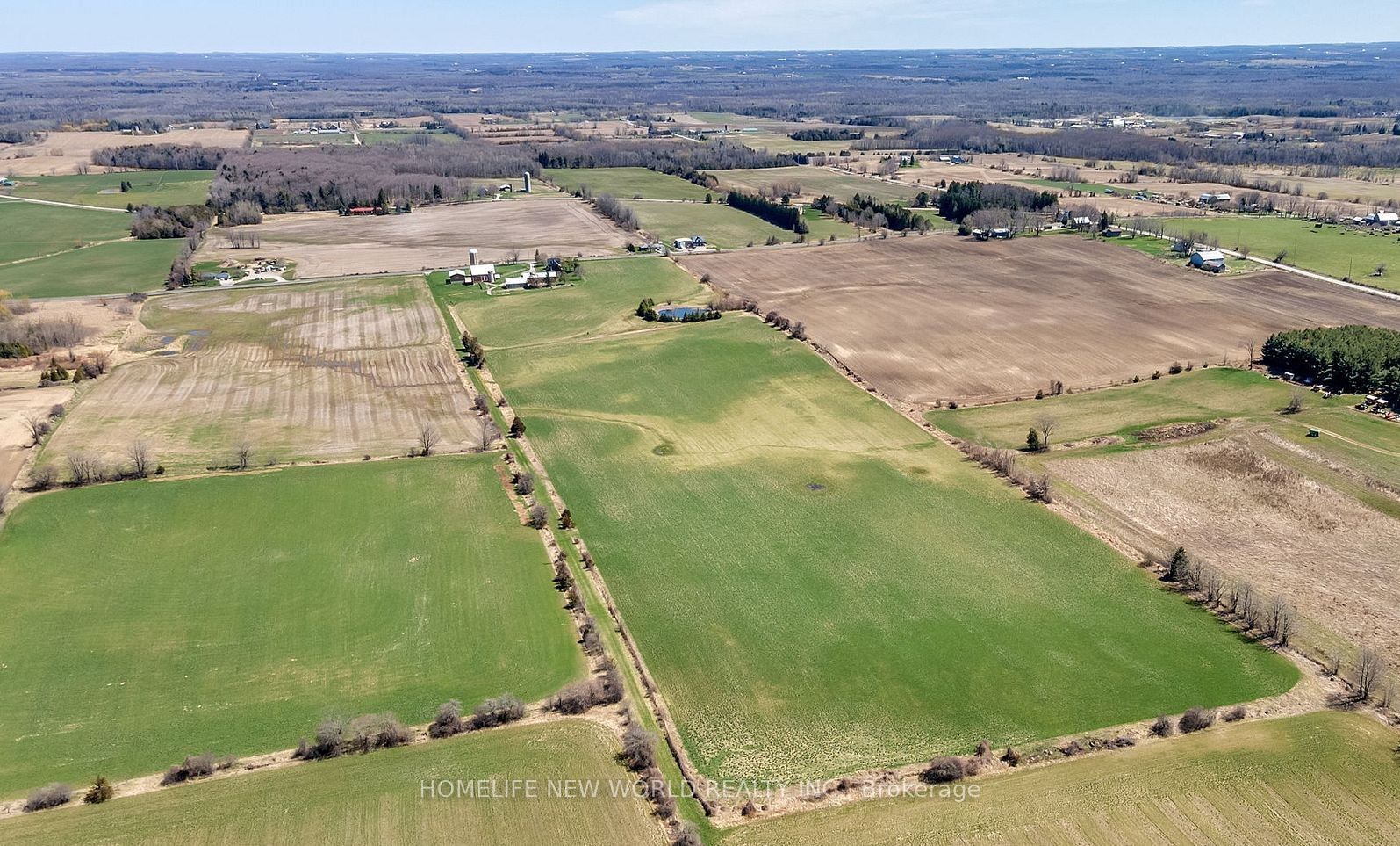 23702 Kennedy Road Property Photo 17
