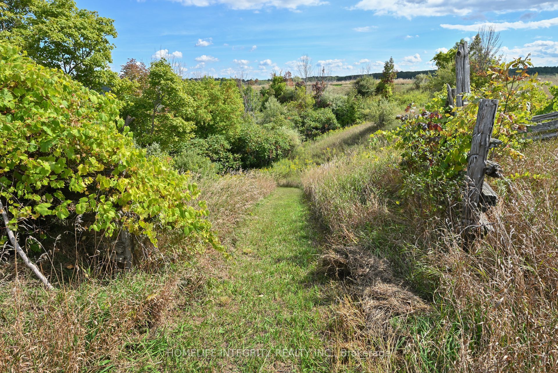 995305 Mono Adjala Townline Property Photo 36