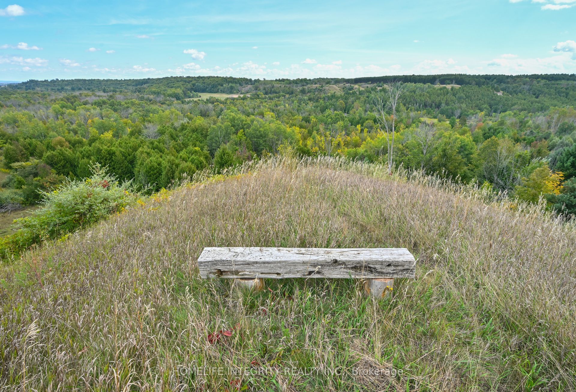 995305 Mono Adjala Townline Property Photo 38