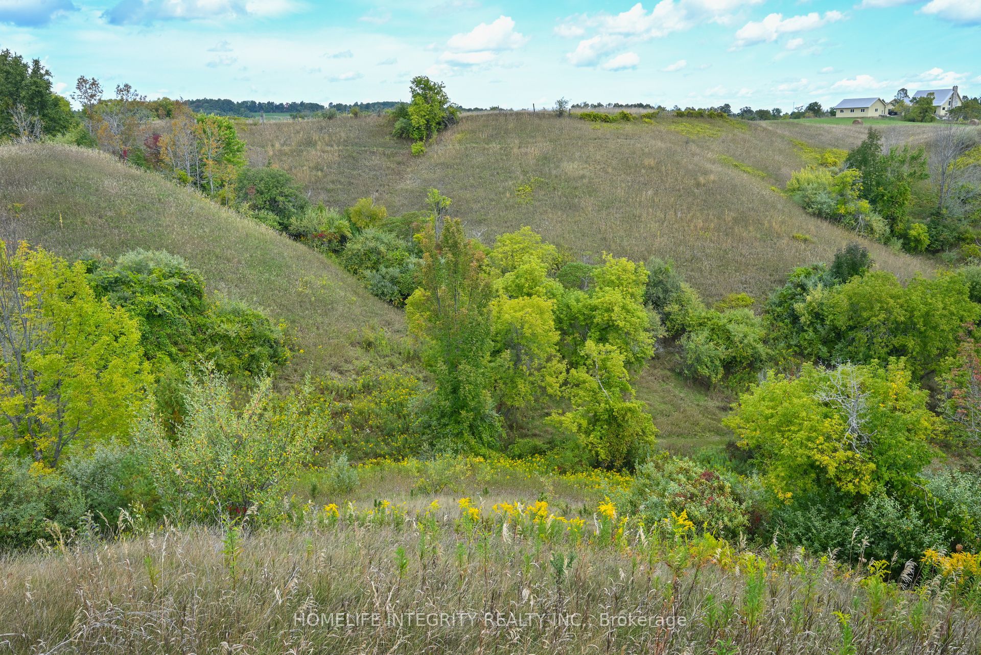 995305 Mono Adjala Townline Property Photo 39