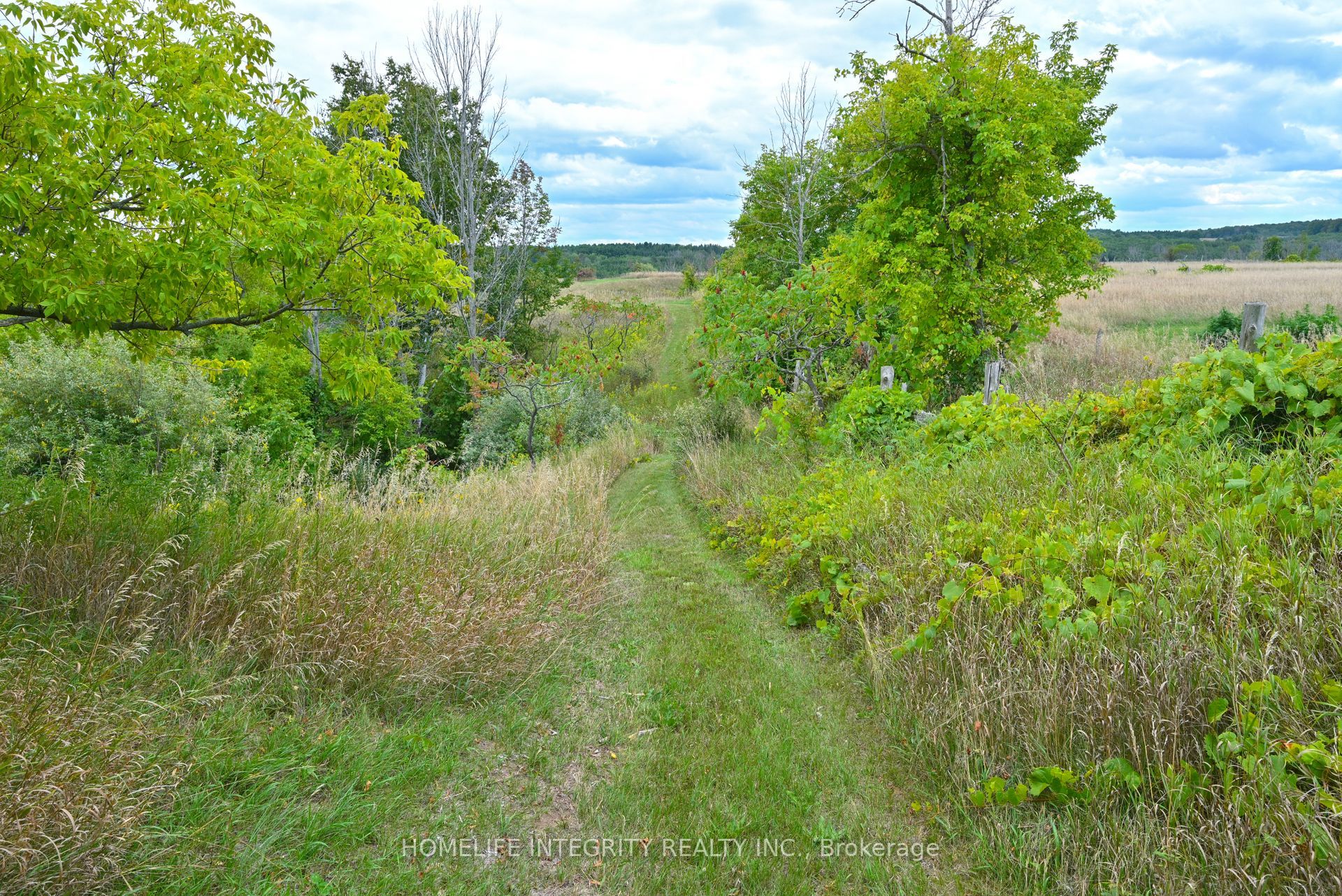 995305 Mono Adjala Townline Property Photo 40