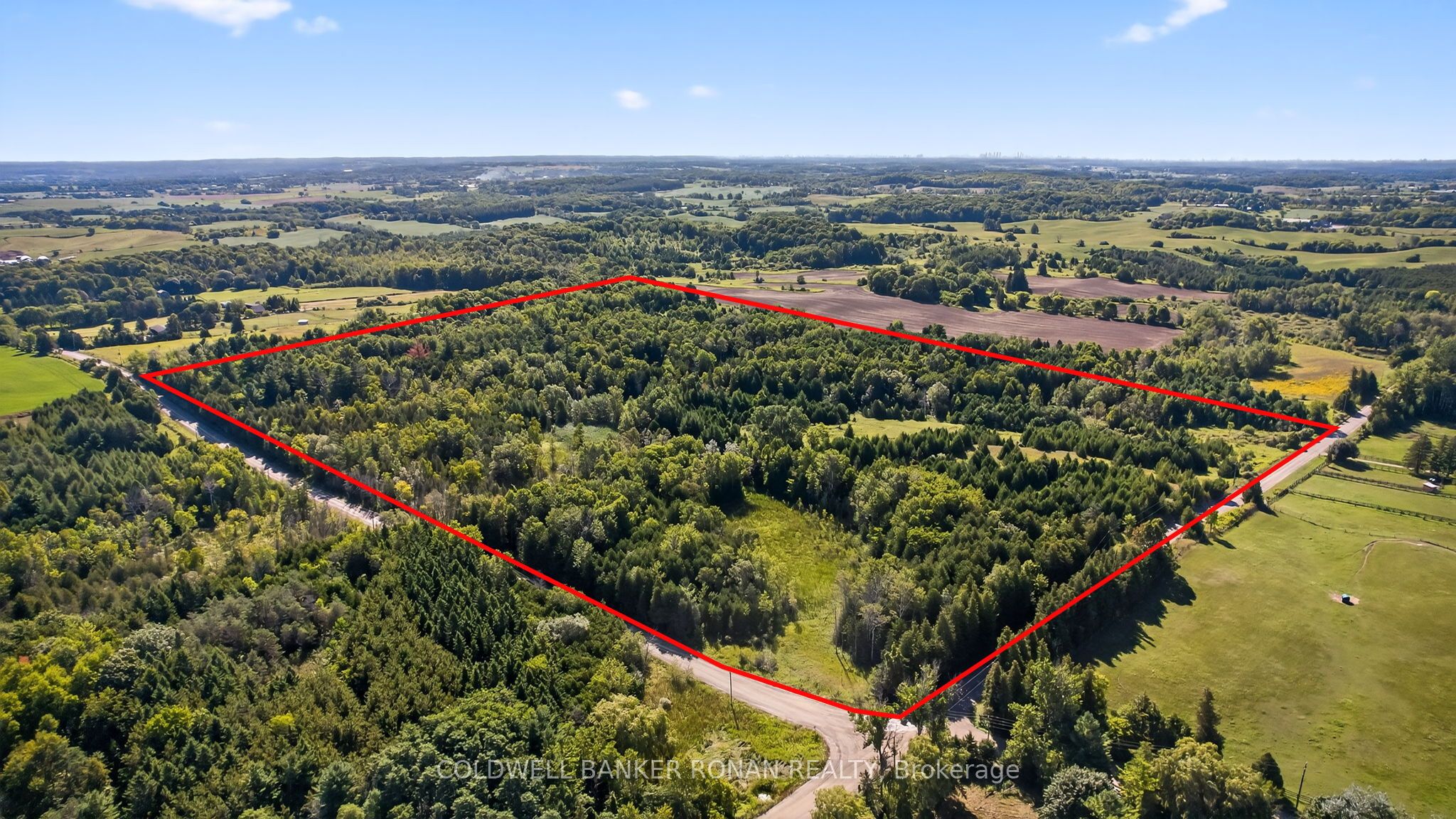 8155 19th Side Road Property Photo 1