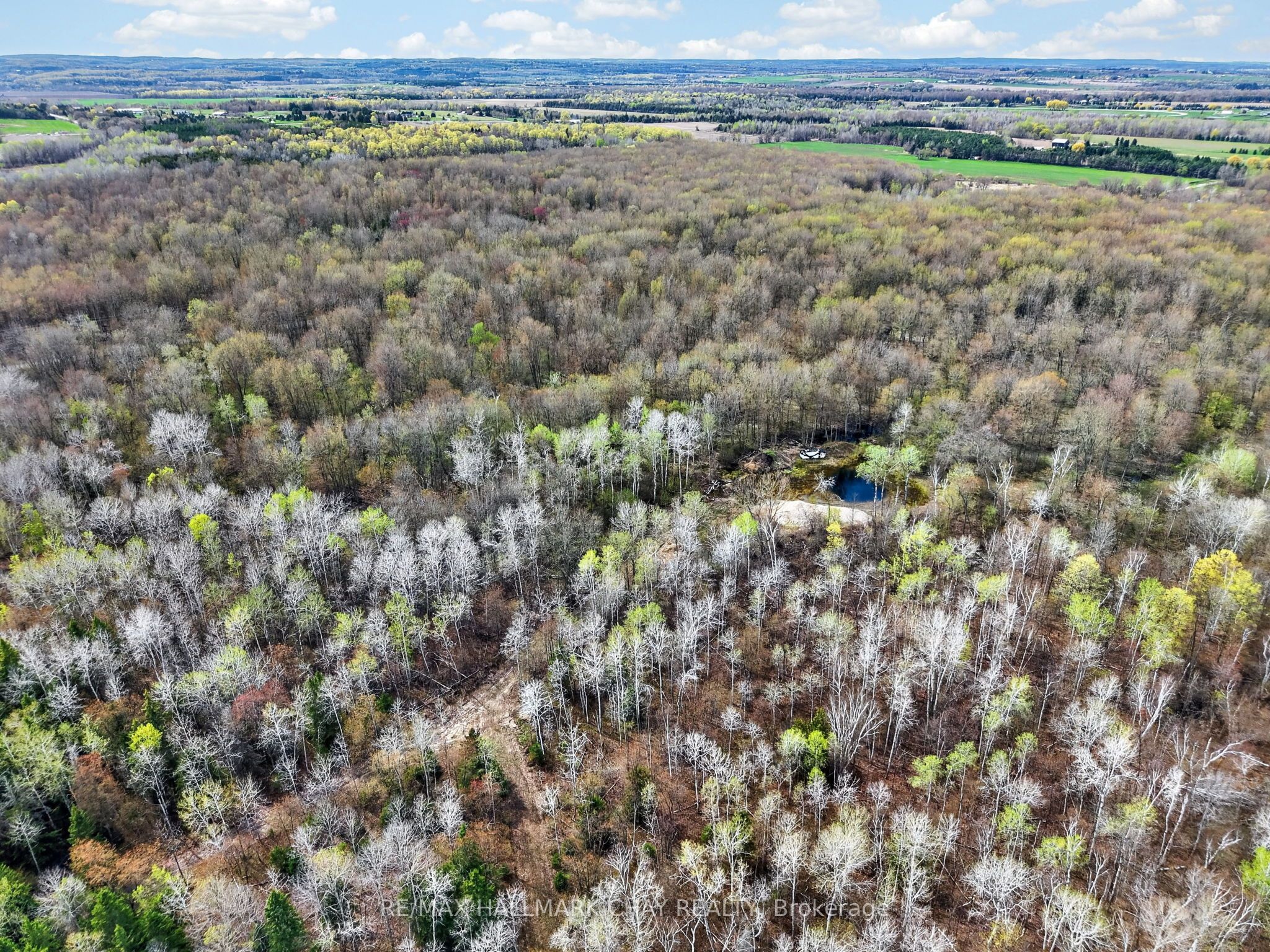 3409 Concession 7 Road Property Photo 45