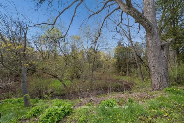 87 Mill Street Property Photo 31