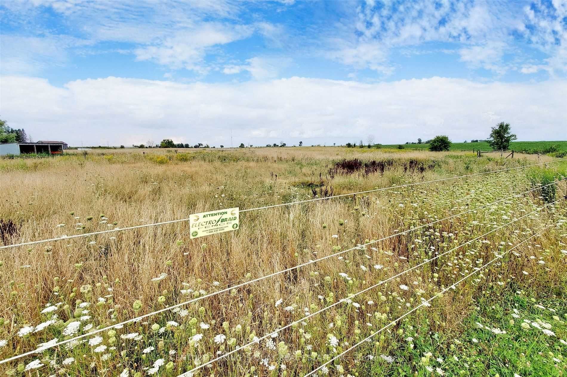 6159 5th Side Road Property Photo 16