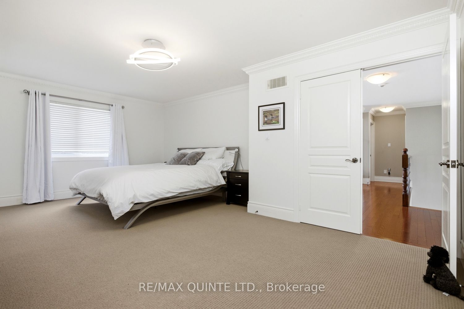 2 Treeview Avenue Property Photo 20