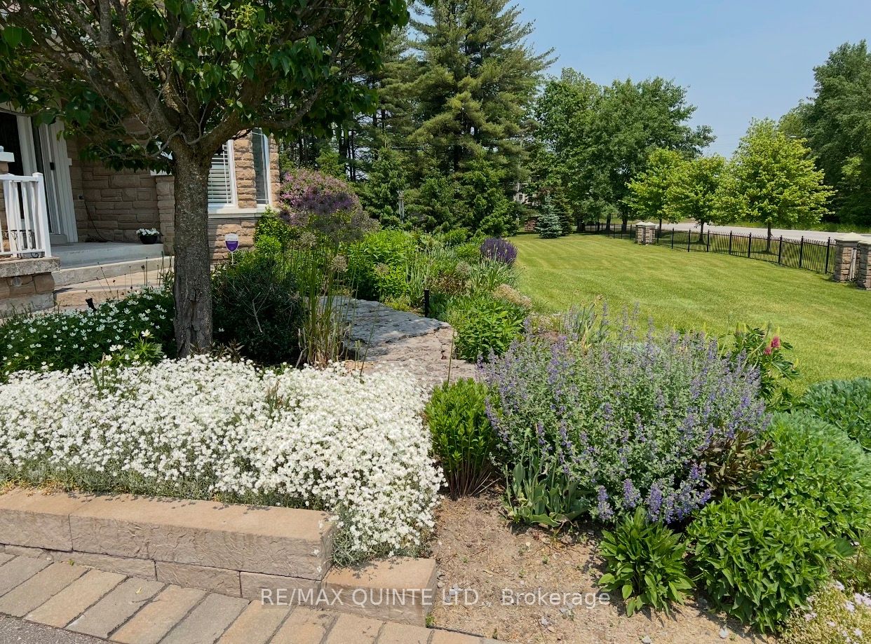 2 Treeview Avenue Property Photo 32