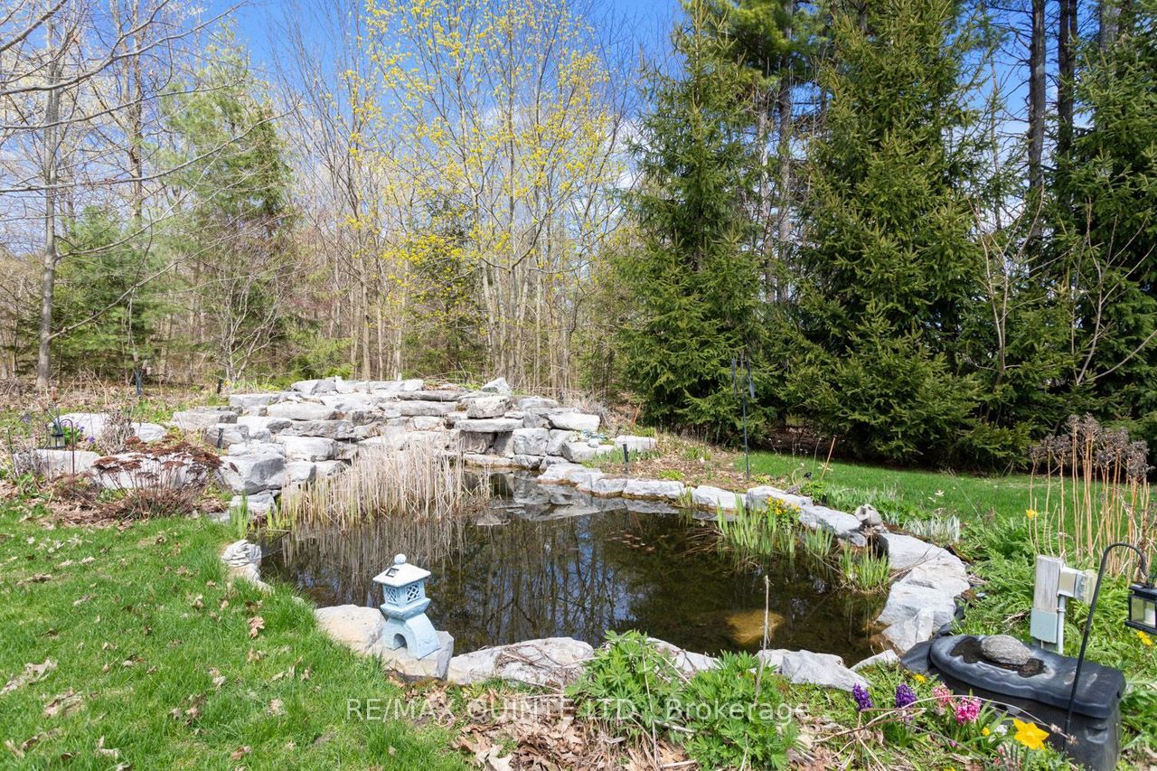2 Treeview Avenue Property Photo 33