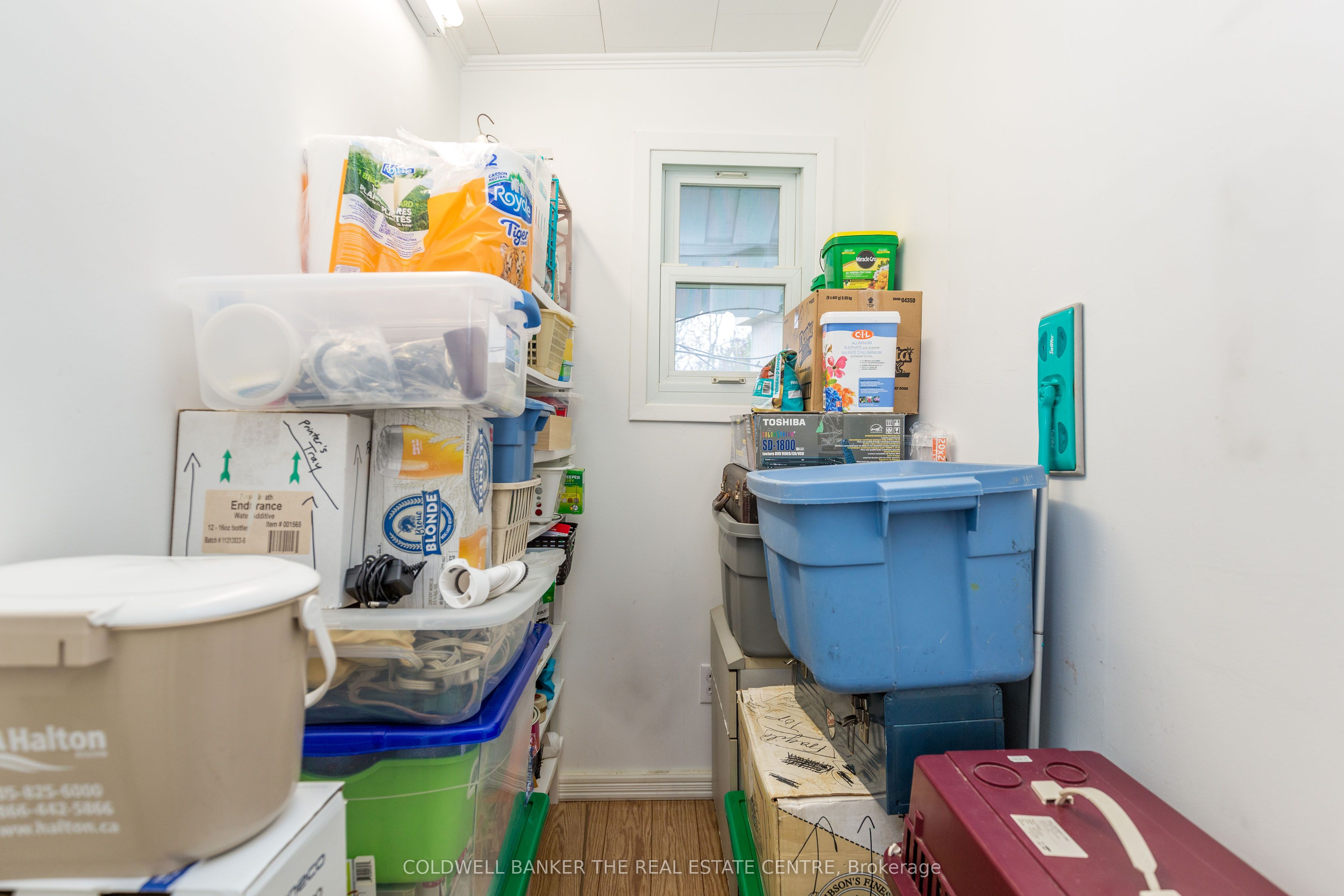 17 Trefoil Drive Property Photo 22