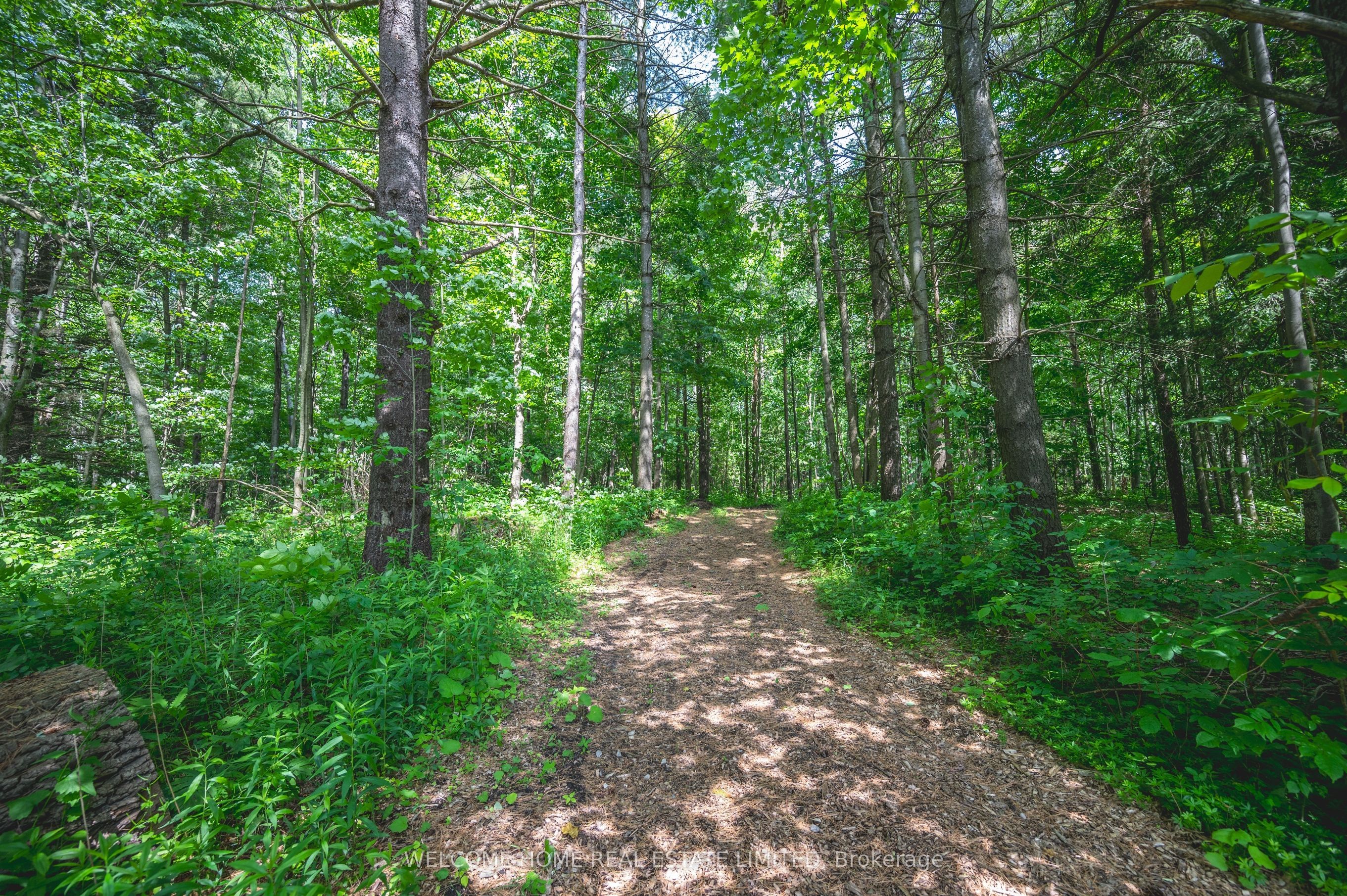 8071 4th Line Property Photo 29