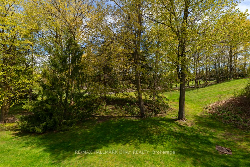 65 Sunset Boulevard Property Photo 31