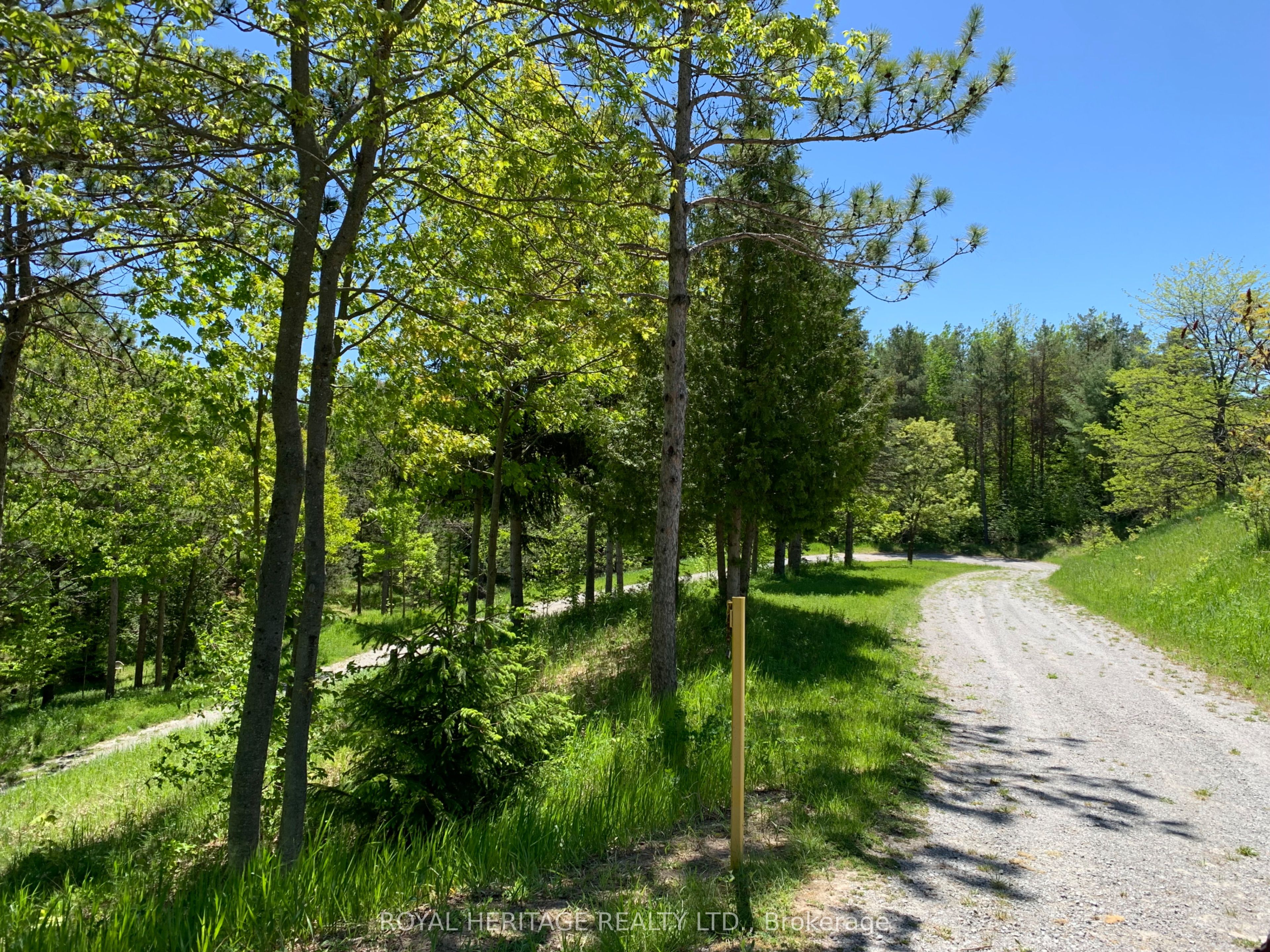 6677 Concession 2 Road Property Photo 5