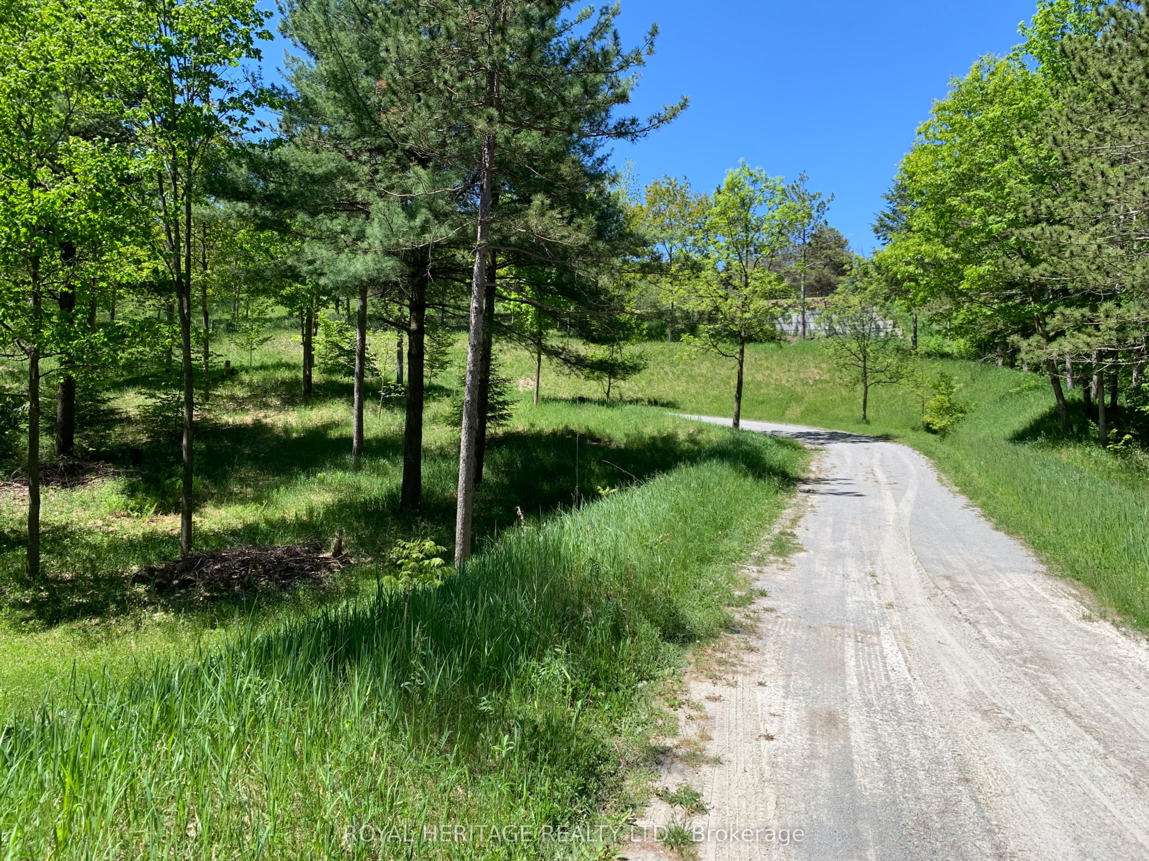 6677 Concession 2 Road Property Photo 10