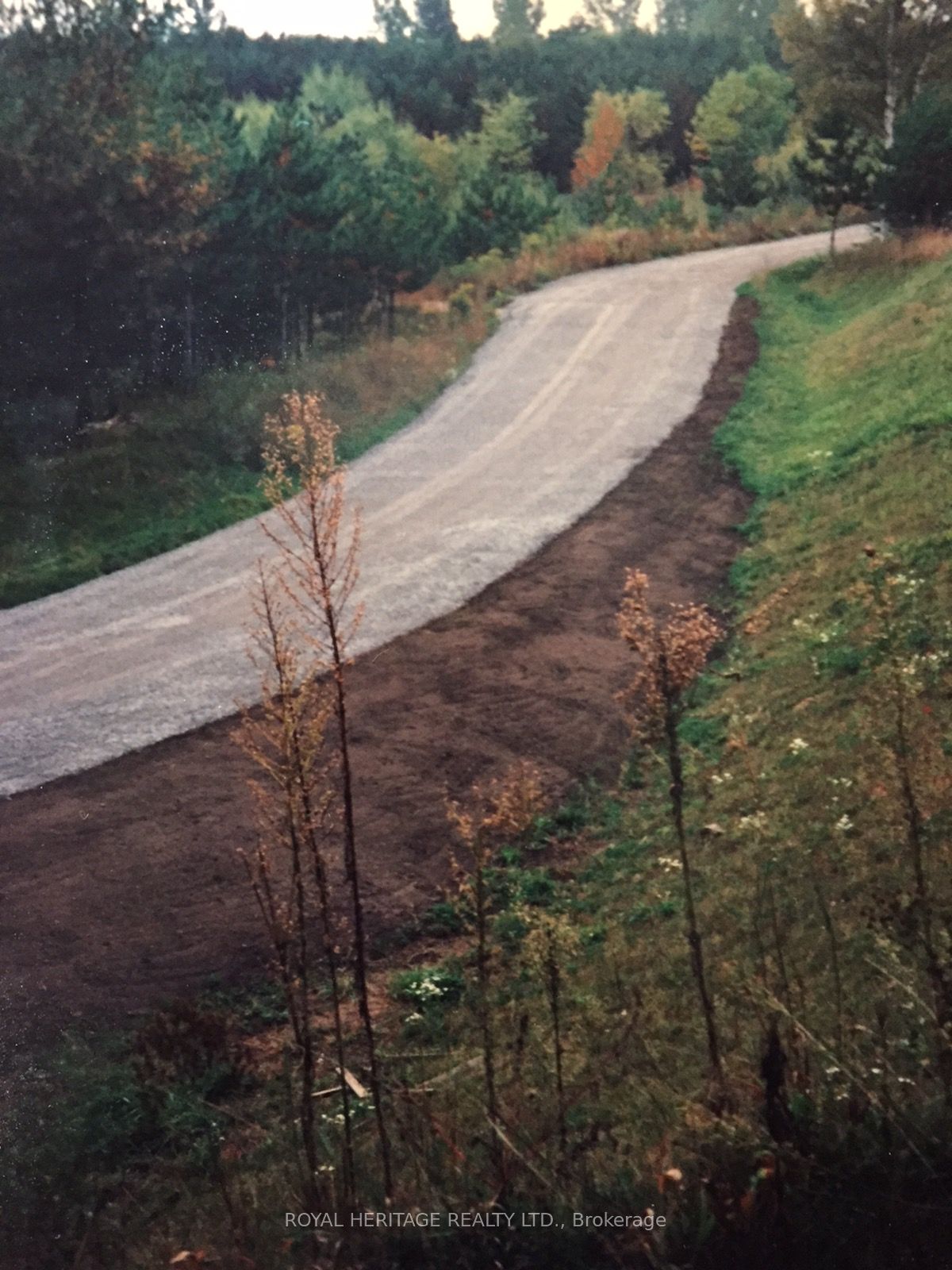 6677 Concession 2 Road Property Photo 11