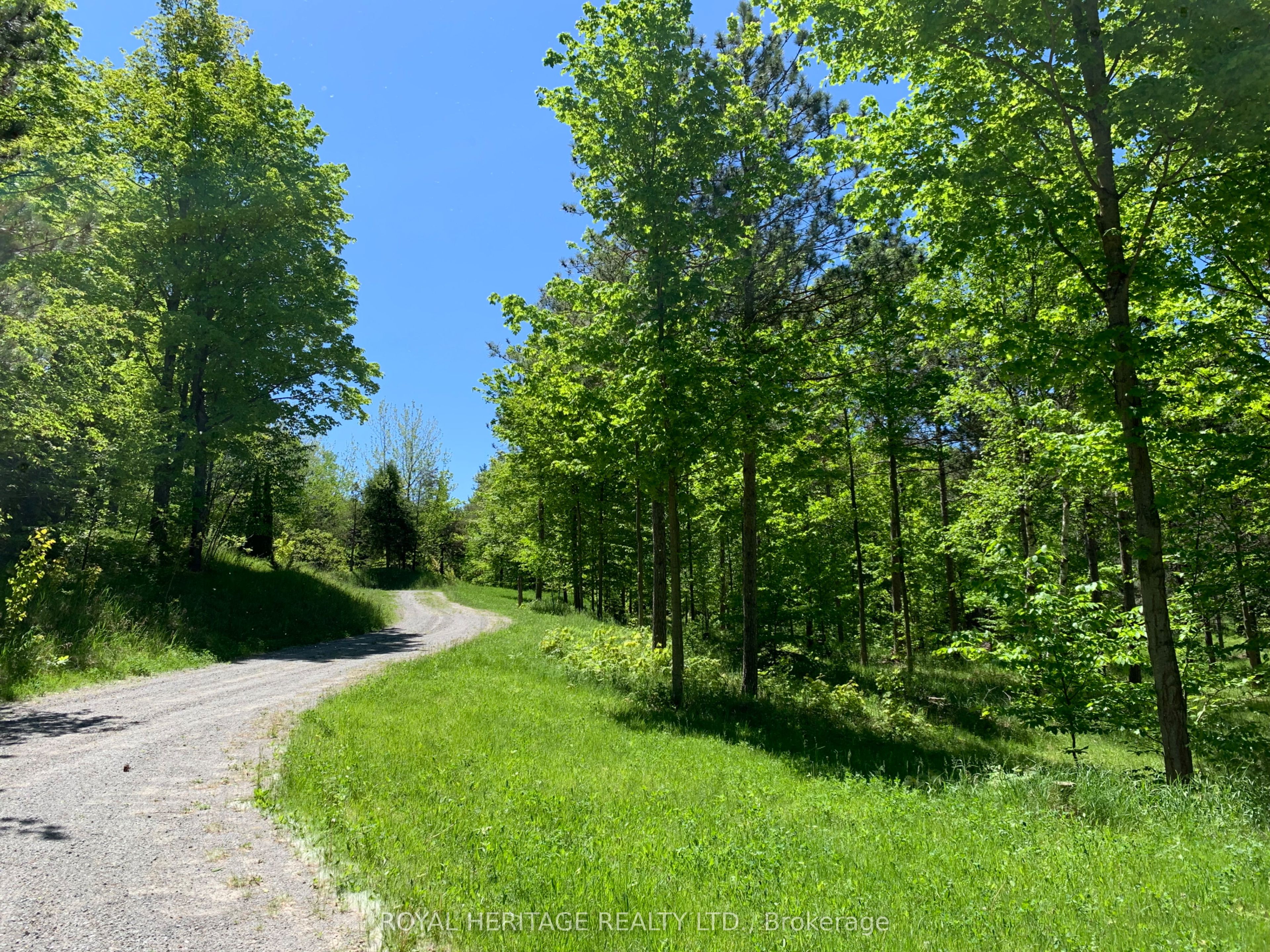 6677 Concession 2 Road Property Photo 15
