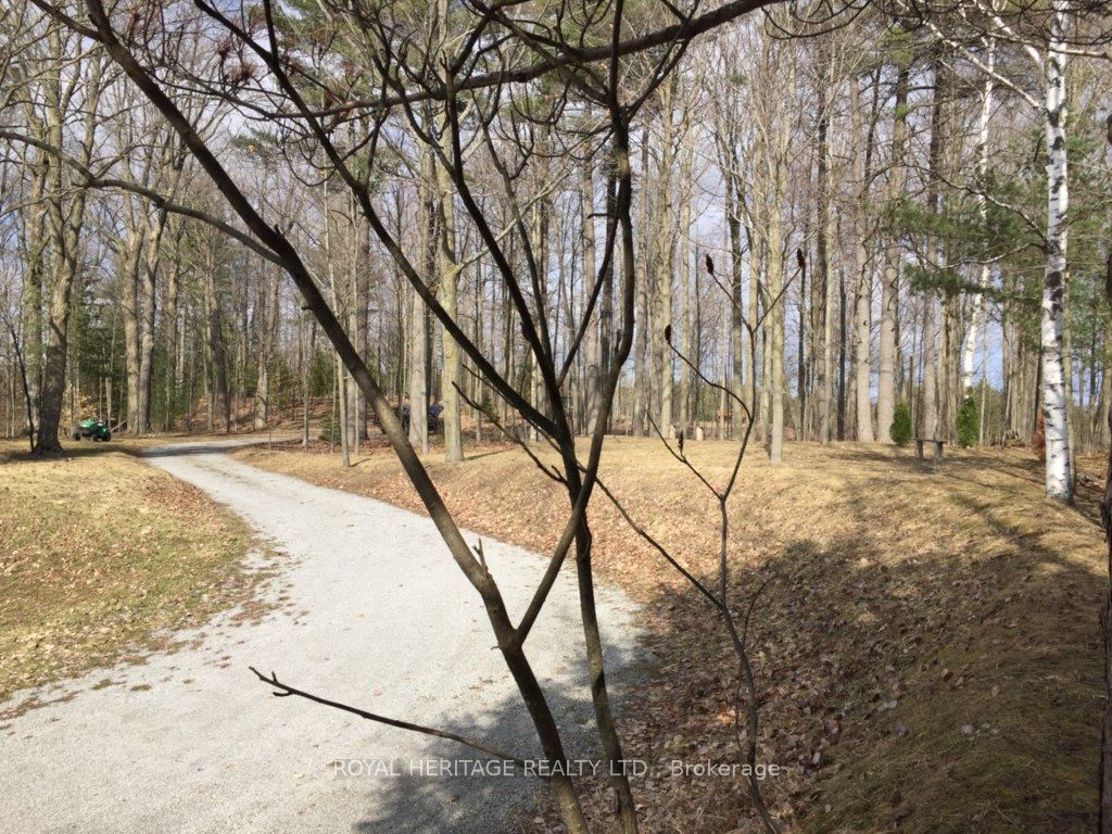 6677 Concession 2 Road Property Photo 16