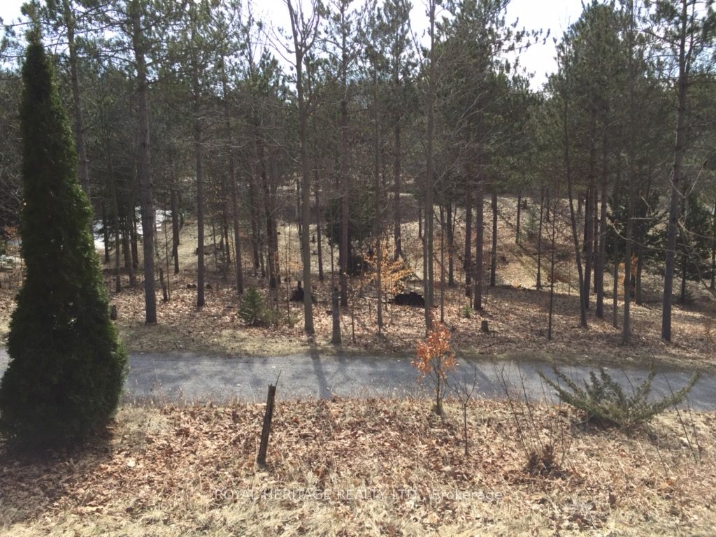 6677 Concession 2 Road Property Photo 19