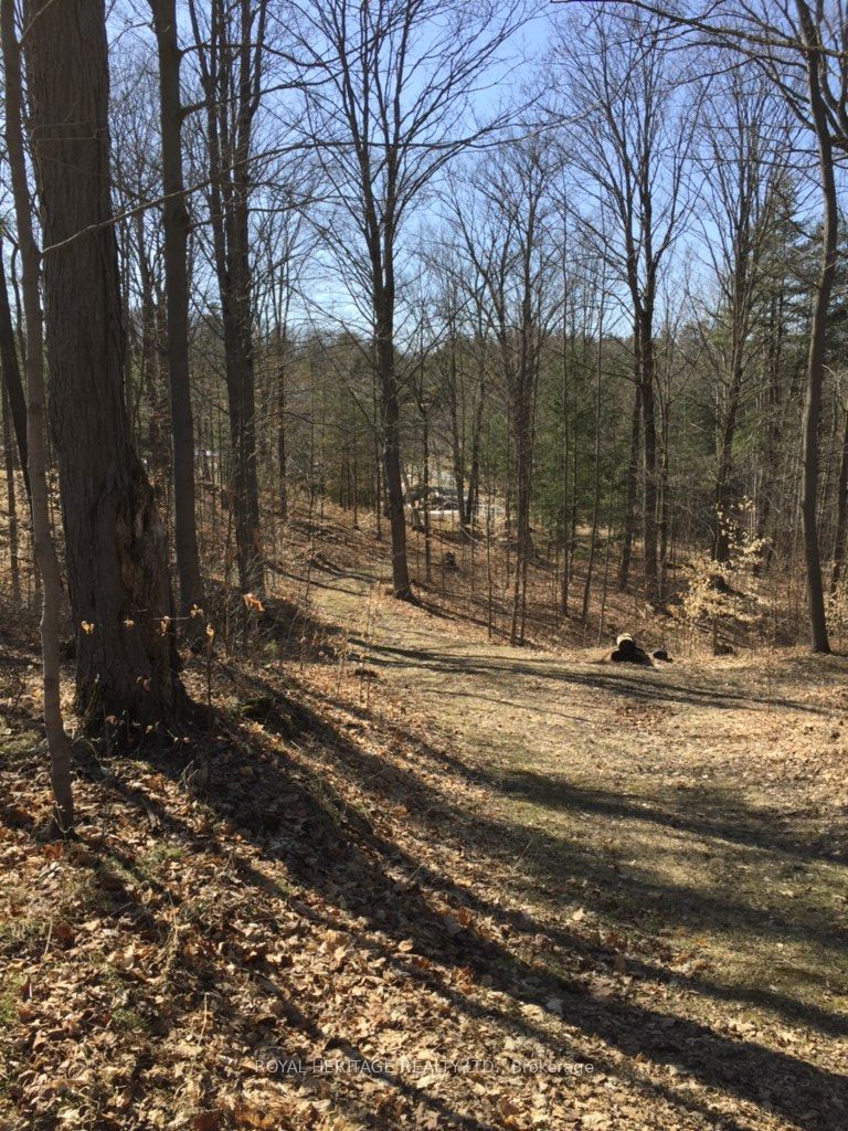 6677 Concession 2 Road Property Photo 22