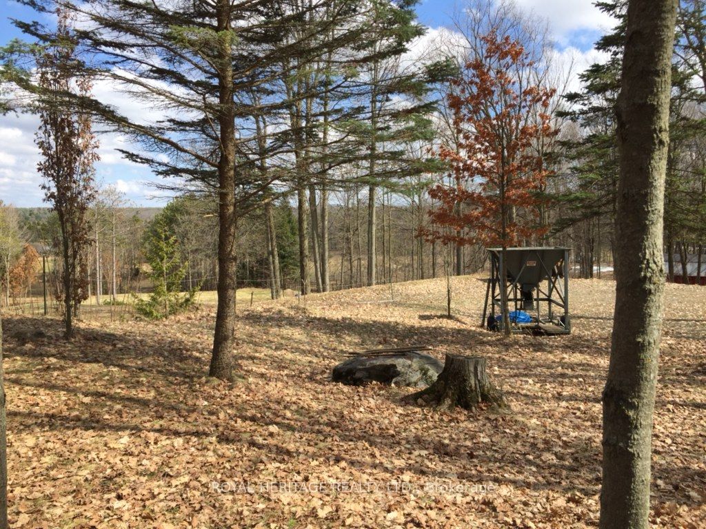 6677 Concession 2 Road Property Photo 26
