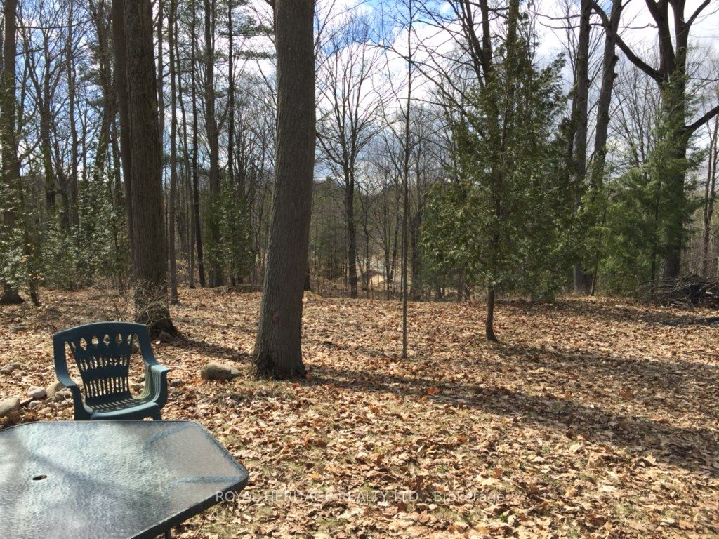 6677 Concession 2 Road Property Photo 27