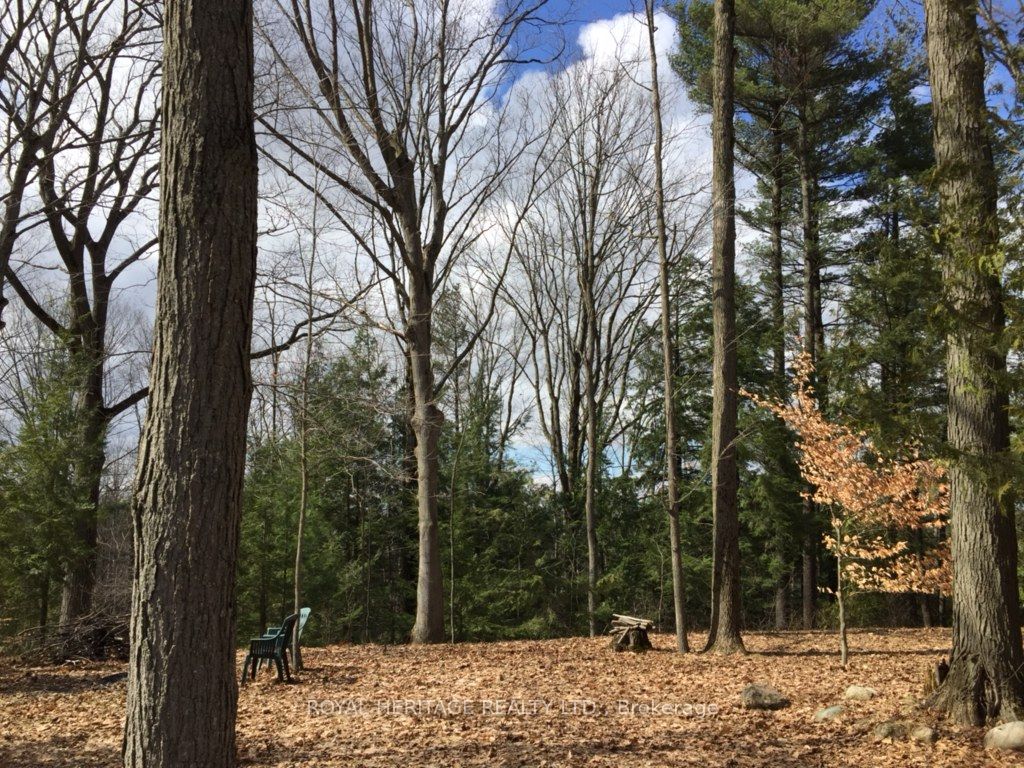 6677 Concession 2 Road Property Photo 28