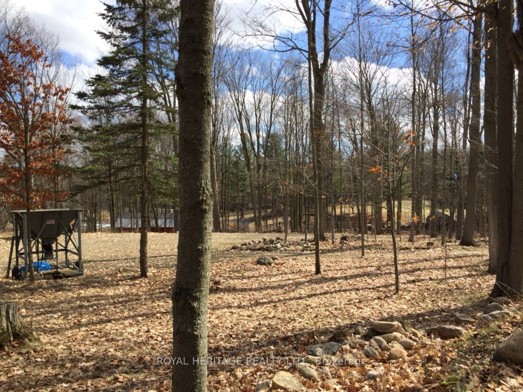 6677 Concession 2 Road Property Photo 29