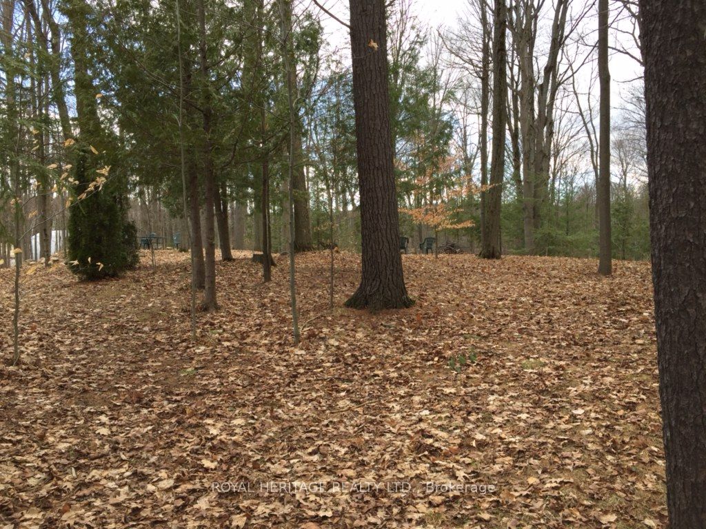 6677 Concession 2 Road Property Photo 30