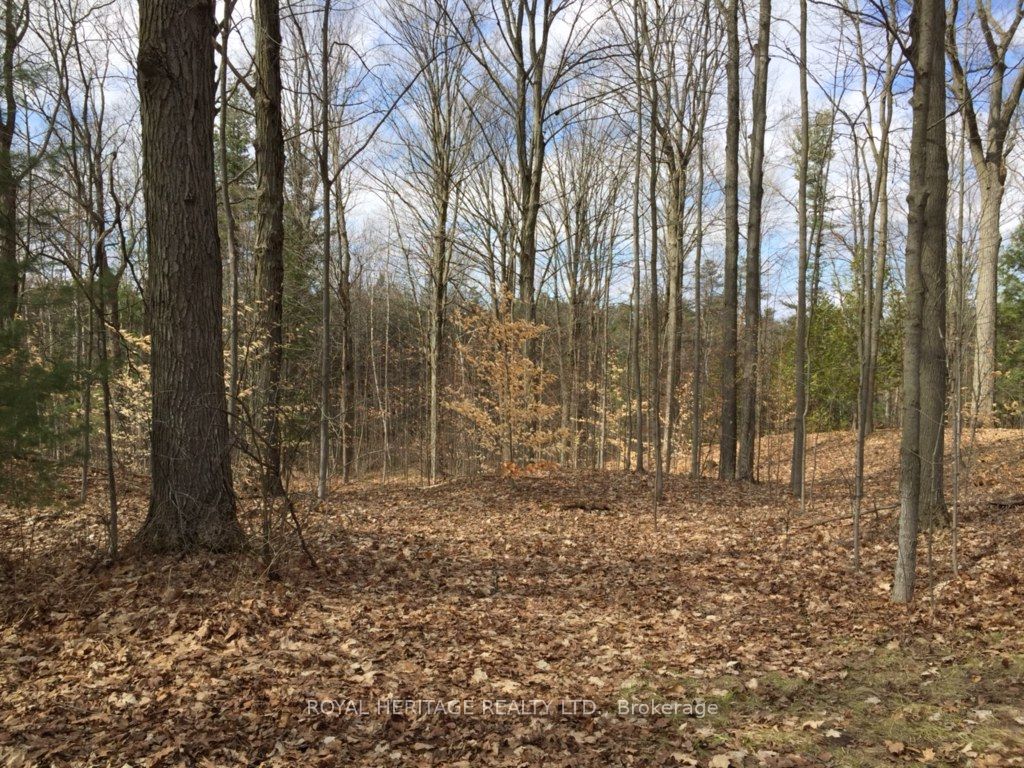 6677 Concession 2 Road Property Photo 32